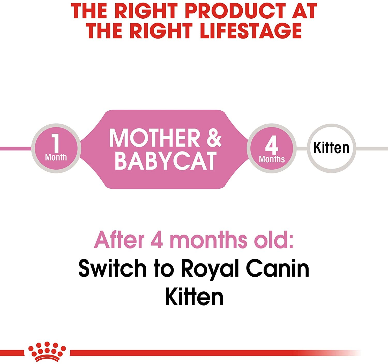 Royal Canin BabyCat 34 Yavru Kuru Kedi Maması