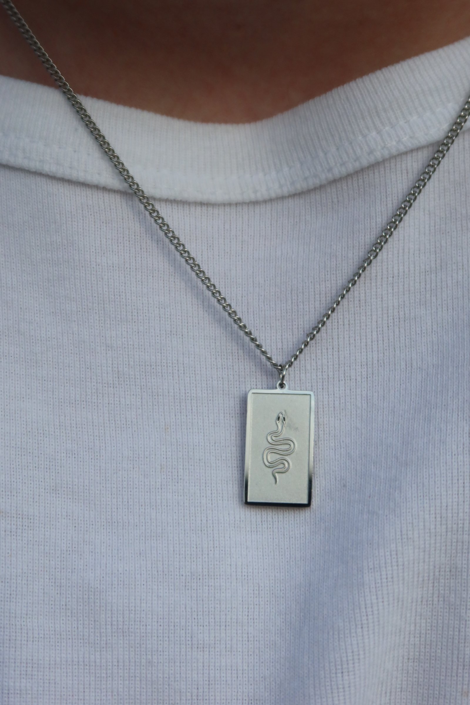 🐍Silver Venom Plate Necklace