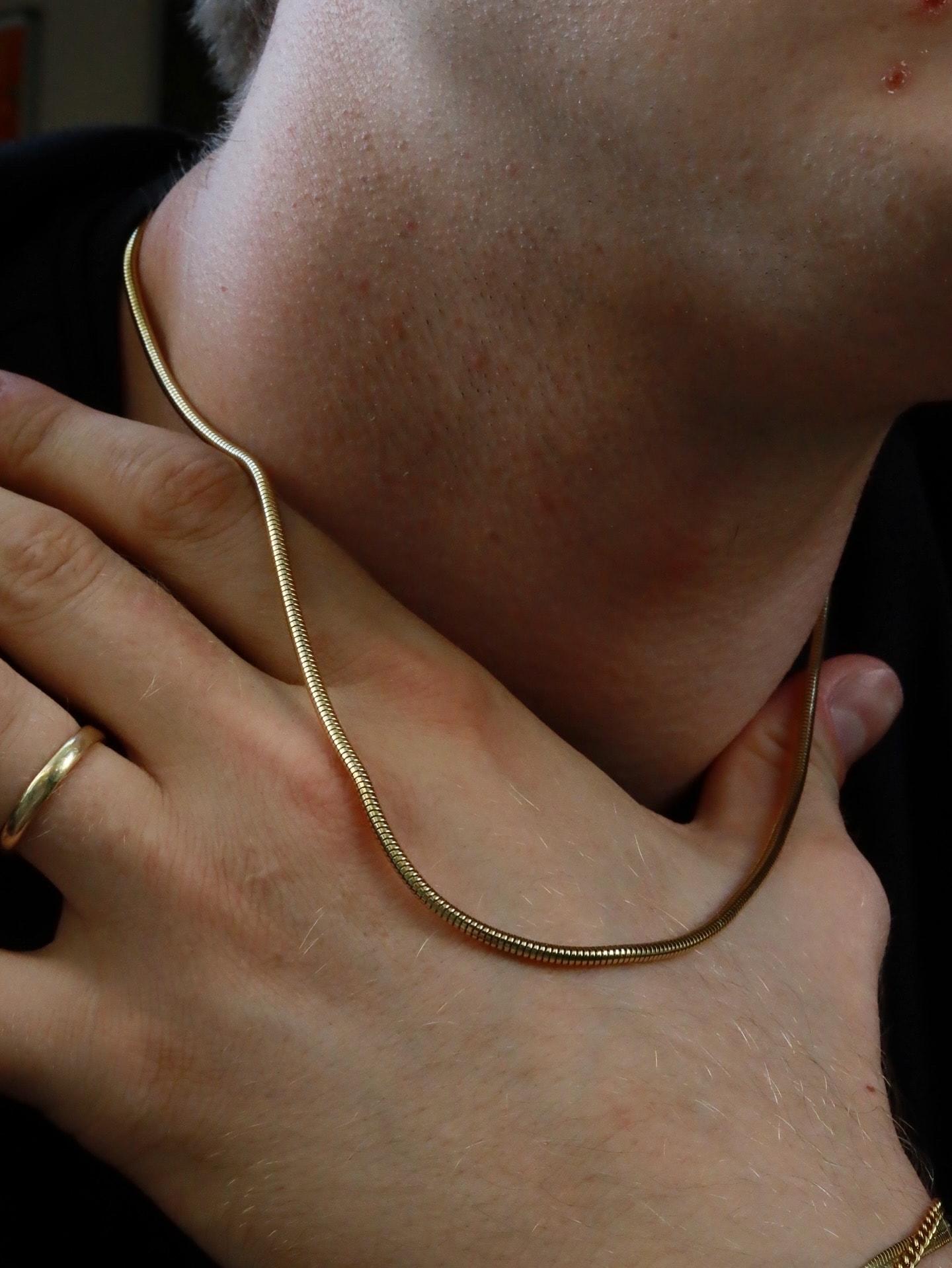 Aurum Snake Chain