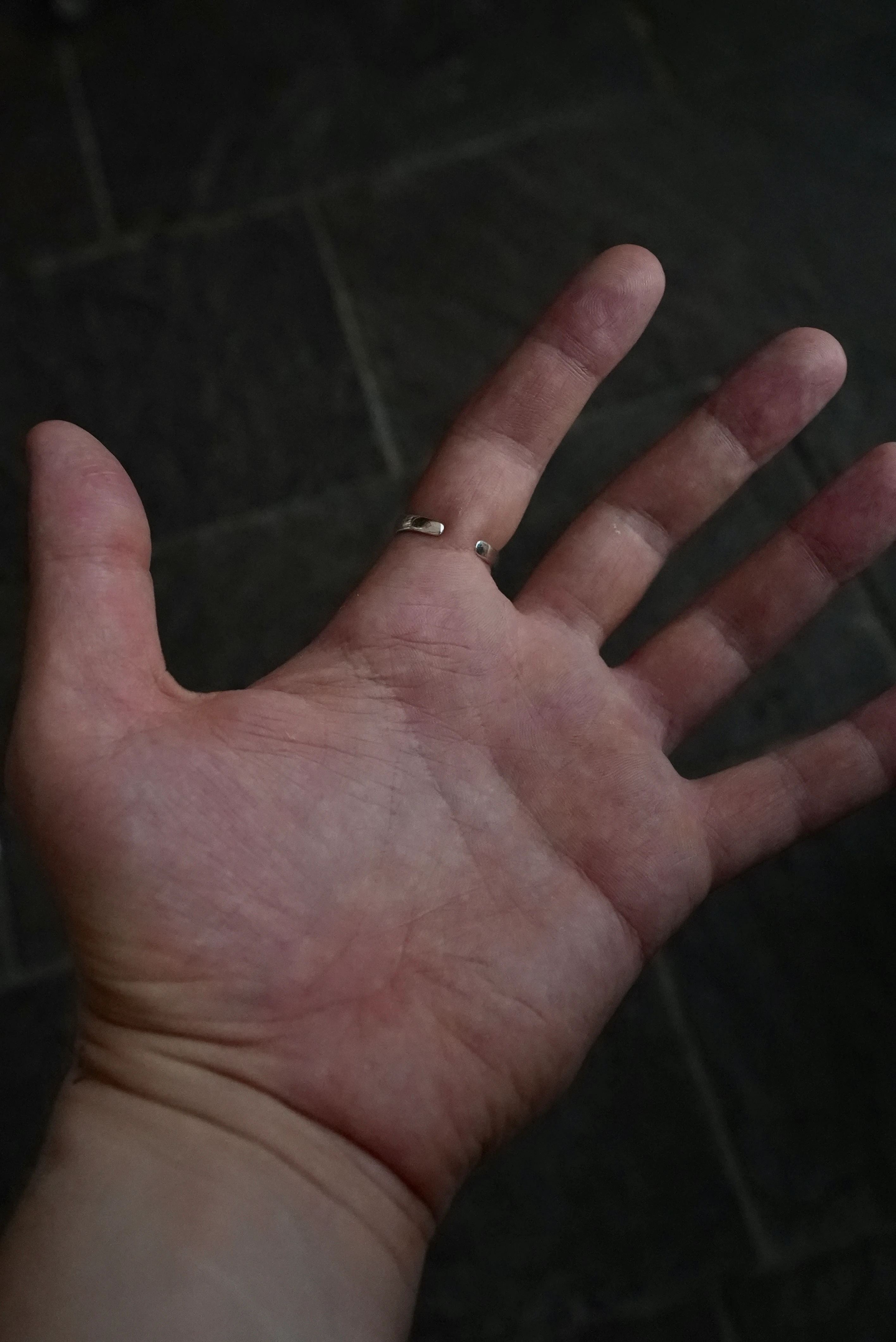 925 Swallow Crest Ring