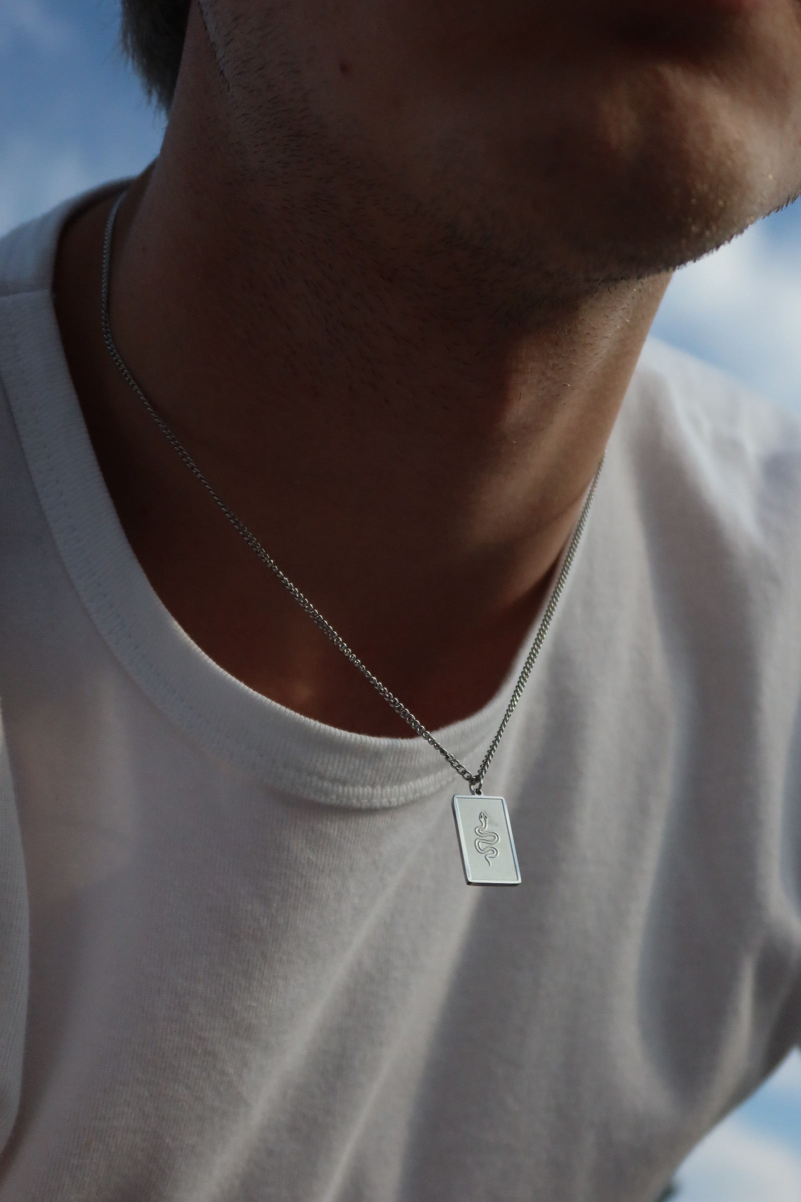 🐍Silver Venom Plate Necklace