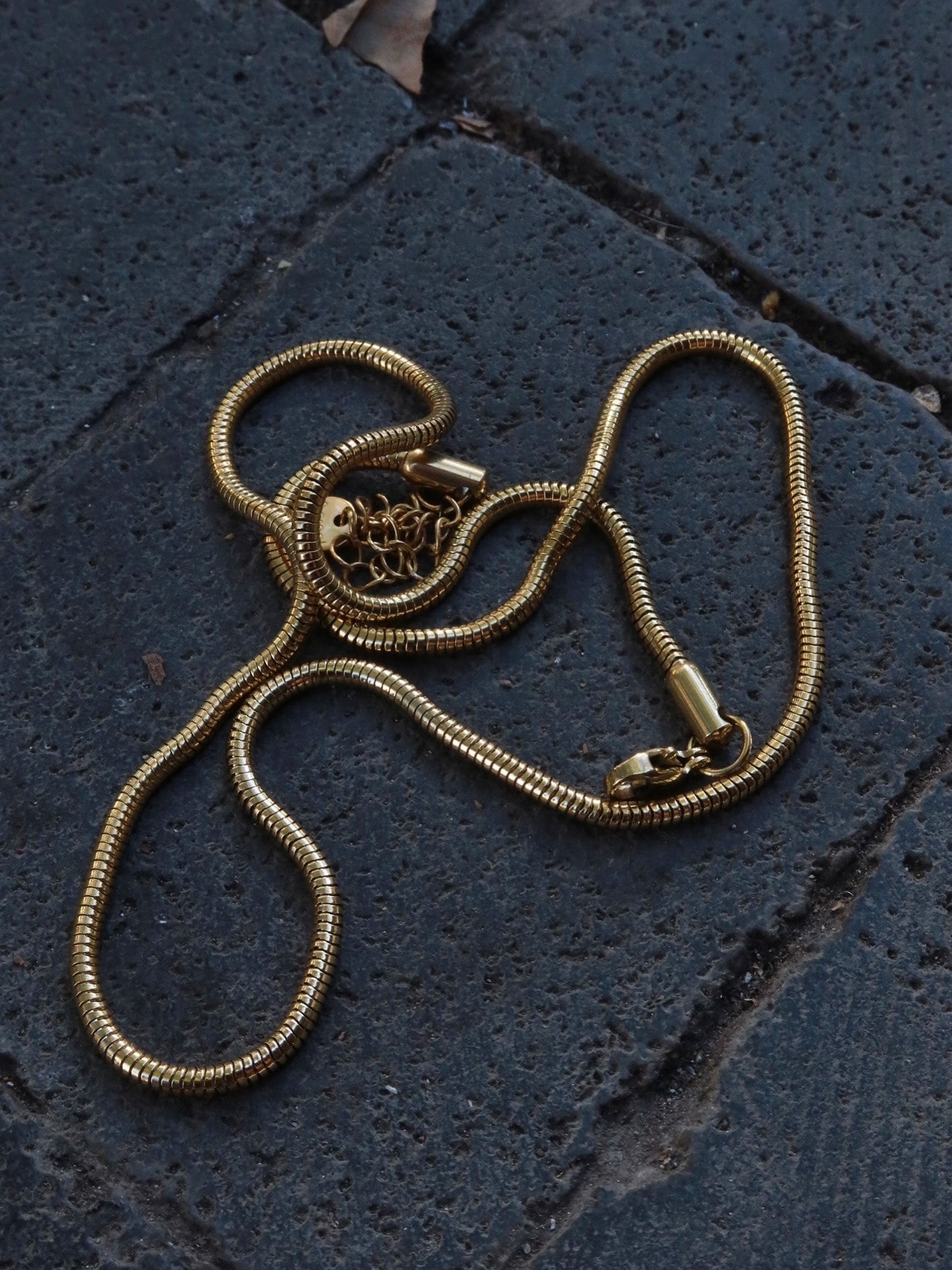 Aurum Snake Chain