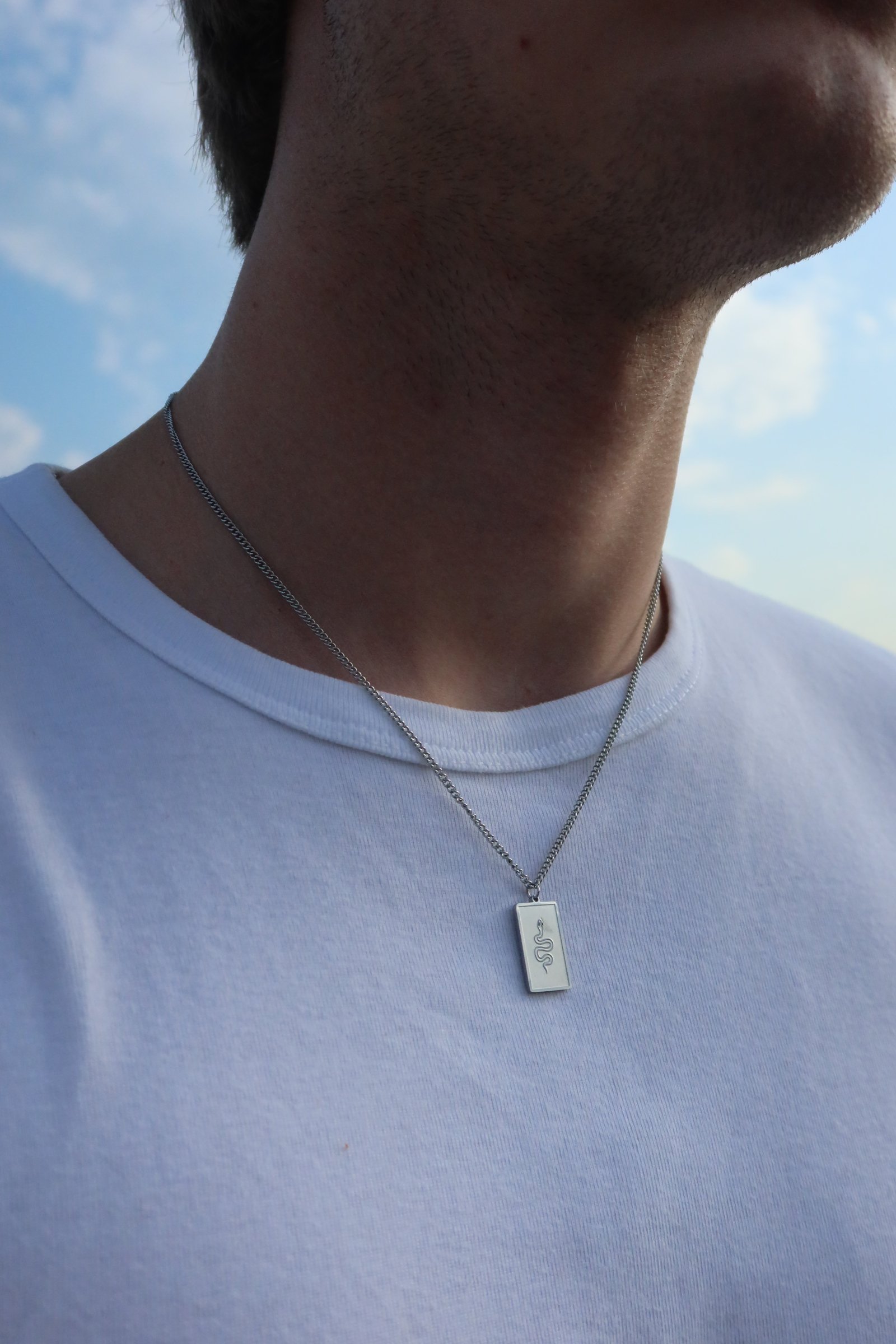🐍Silver Venom Plate Necklace