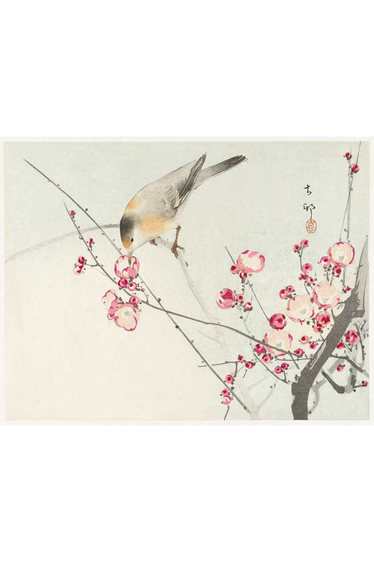 Ahşap Tablo Ohara Koson Songbird On Blossom Branch Dekoratif Tablo Premium Çerçeveli Tablo