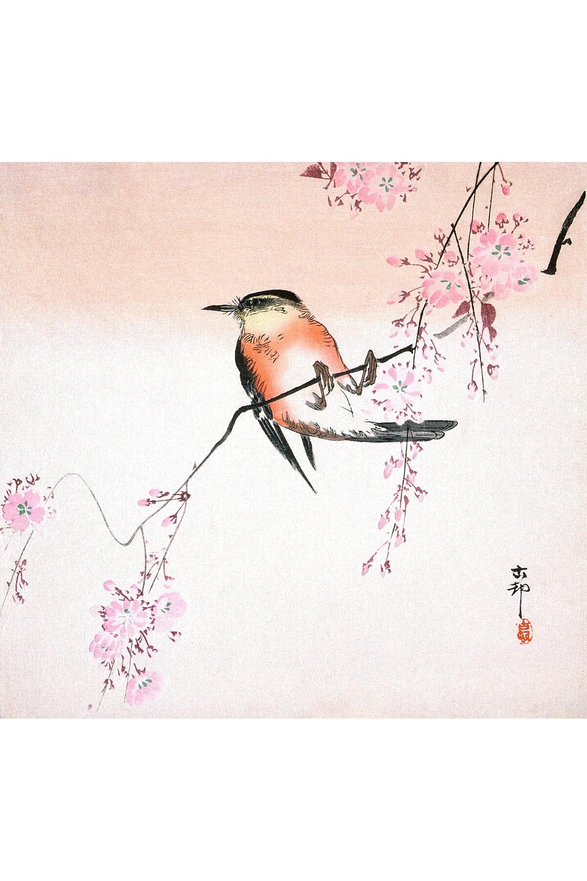 Ohara Koson Bird On Weeping Cherry (1900) No11 ÇERÇEVESİZ Poster Japon Sanatı Klasikler