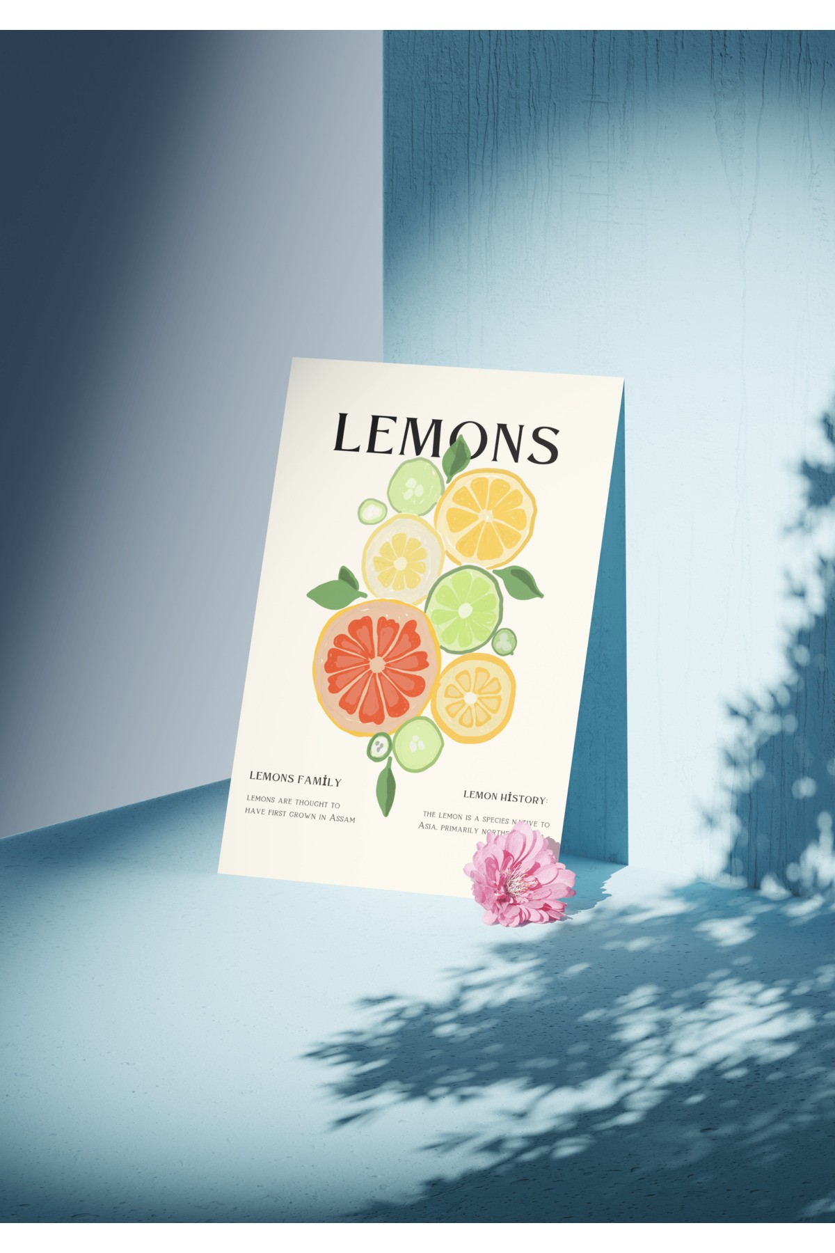 Poster Çerçevesiz Mutfak Koleksiyonu Lemons No:2 Mottolu Vintage Poster