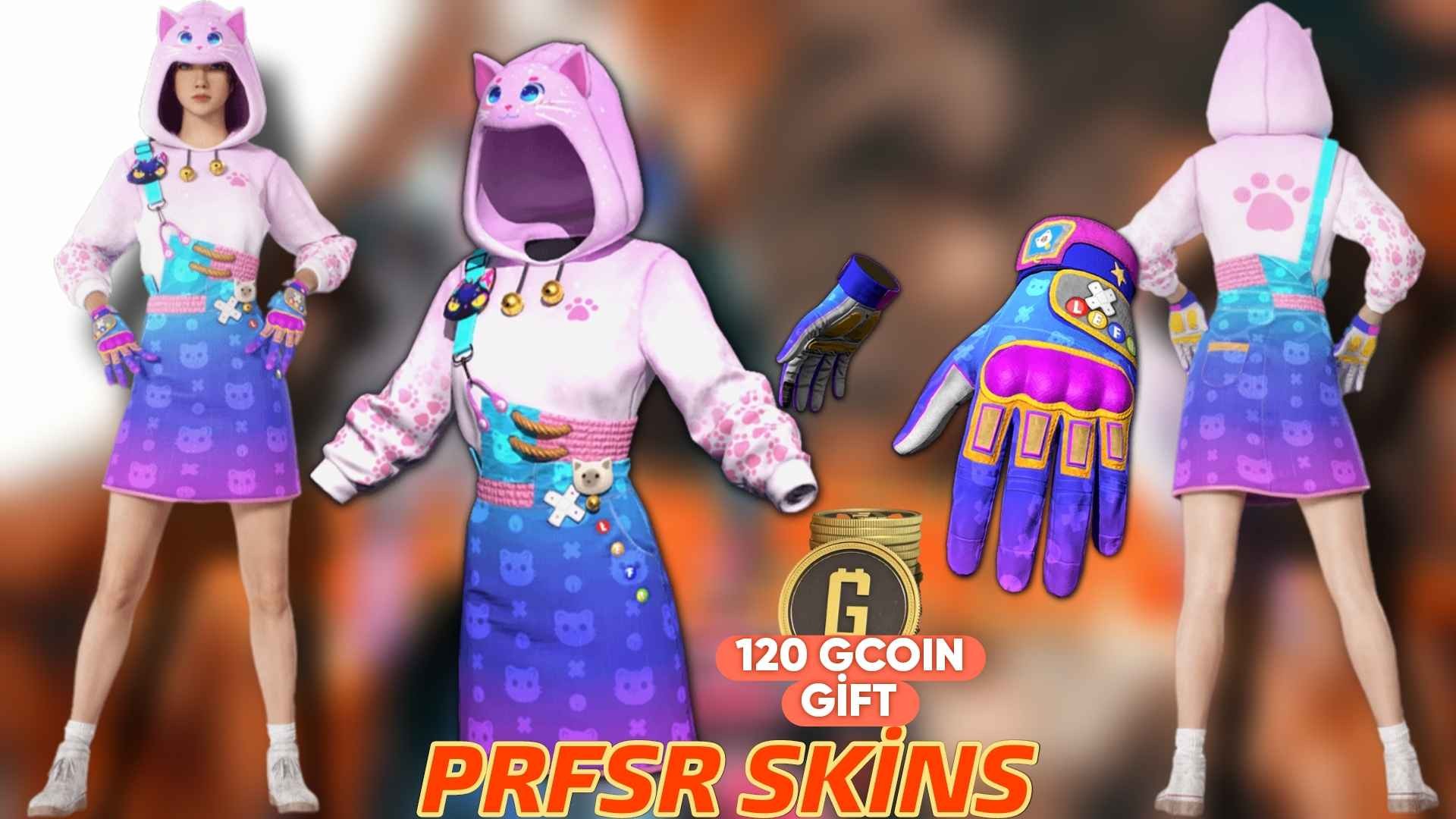 STEAM PUBG AİXLEFT'S CAT LOVER SET