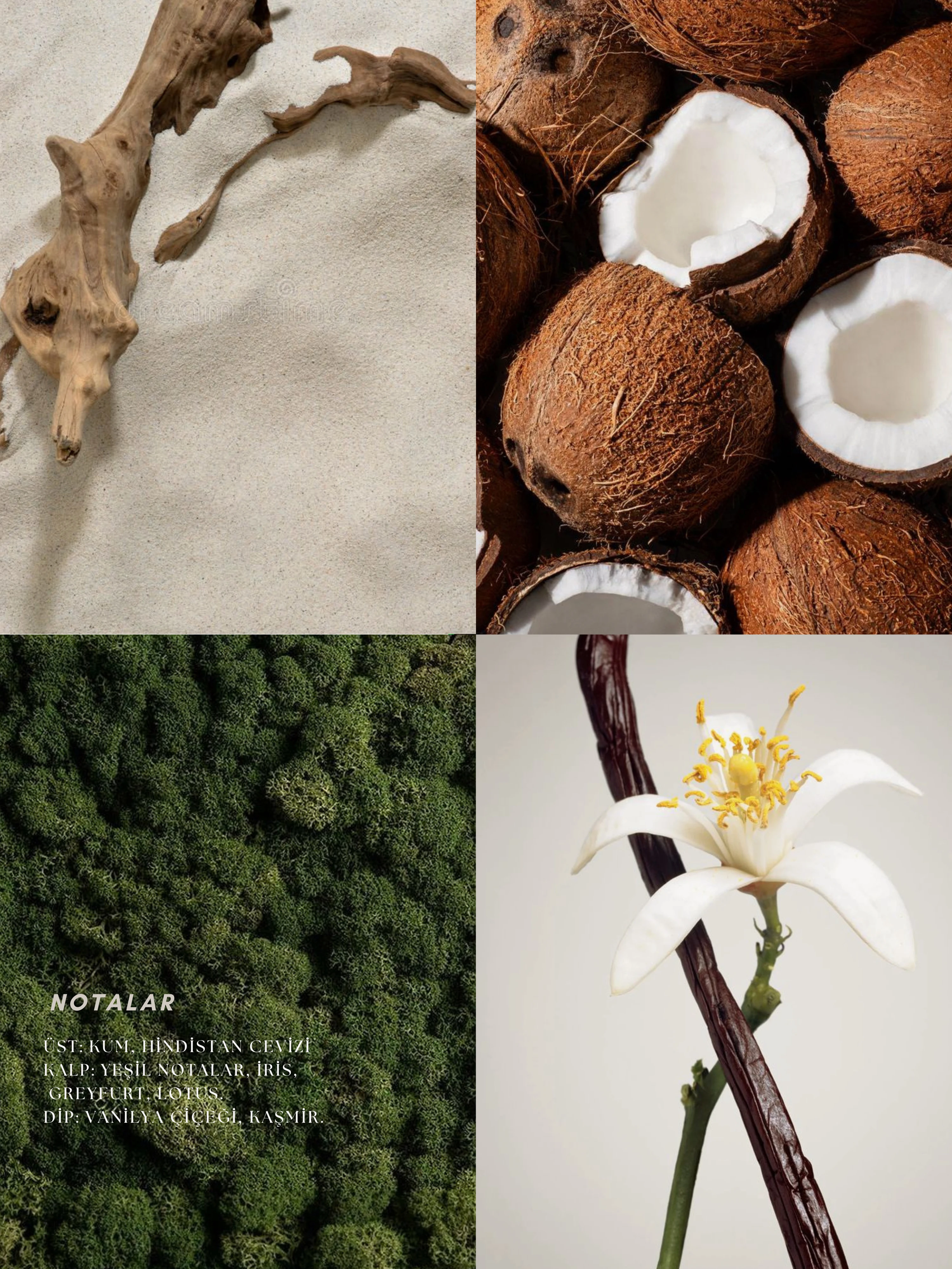 Dualite | Travel Size