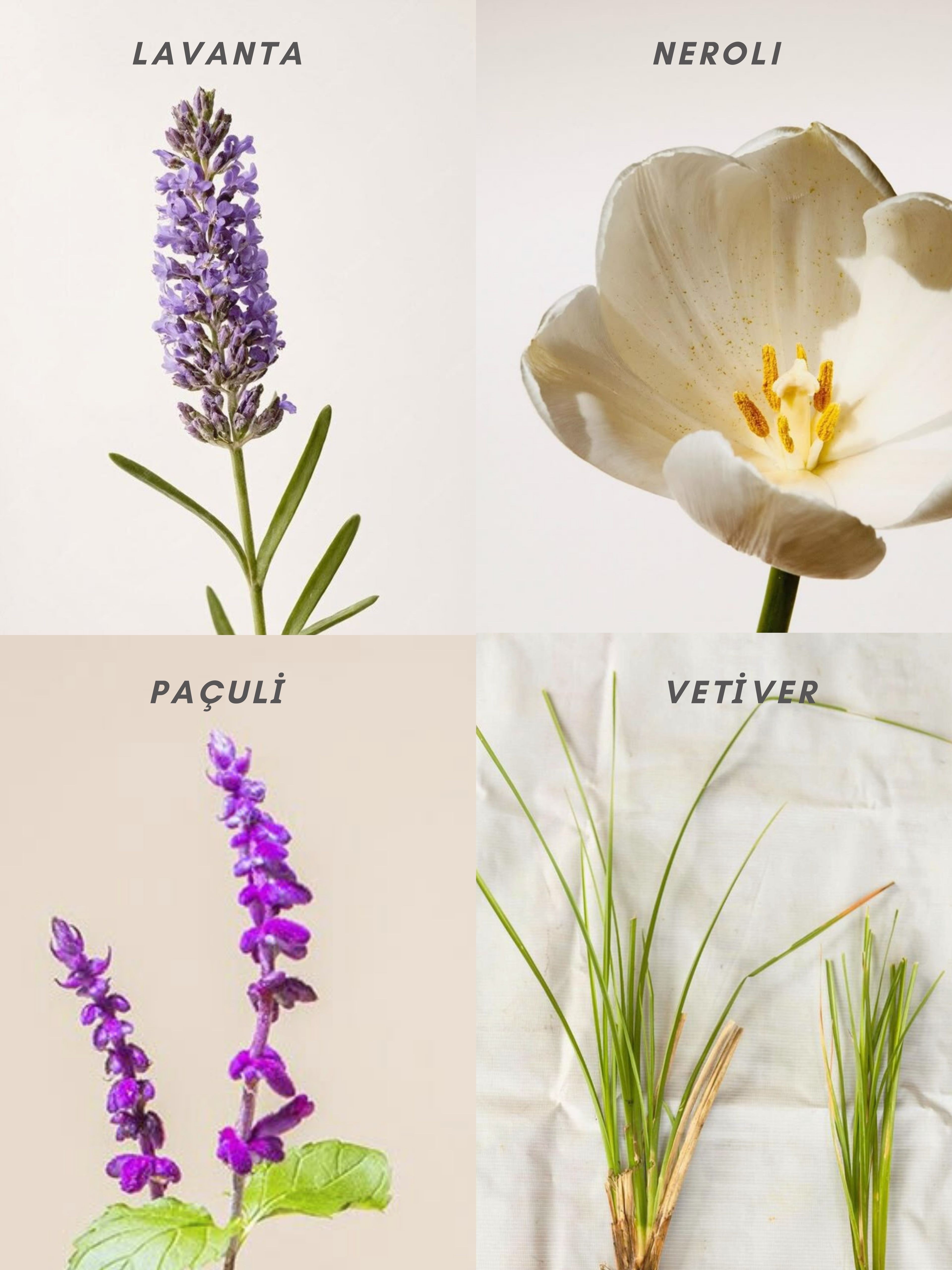 Yastık Misti | Pillow Perfume 