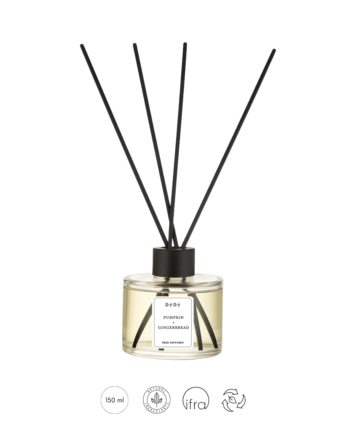 Pumpkin Gingerbread | Limited Edition Oda Kokusu