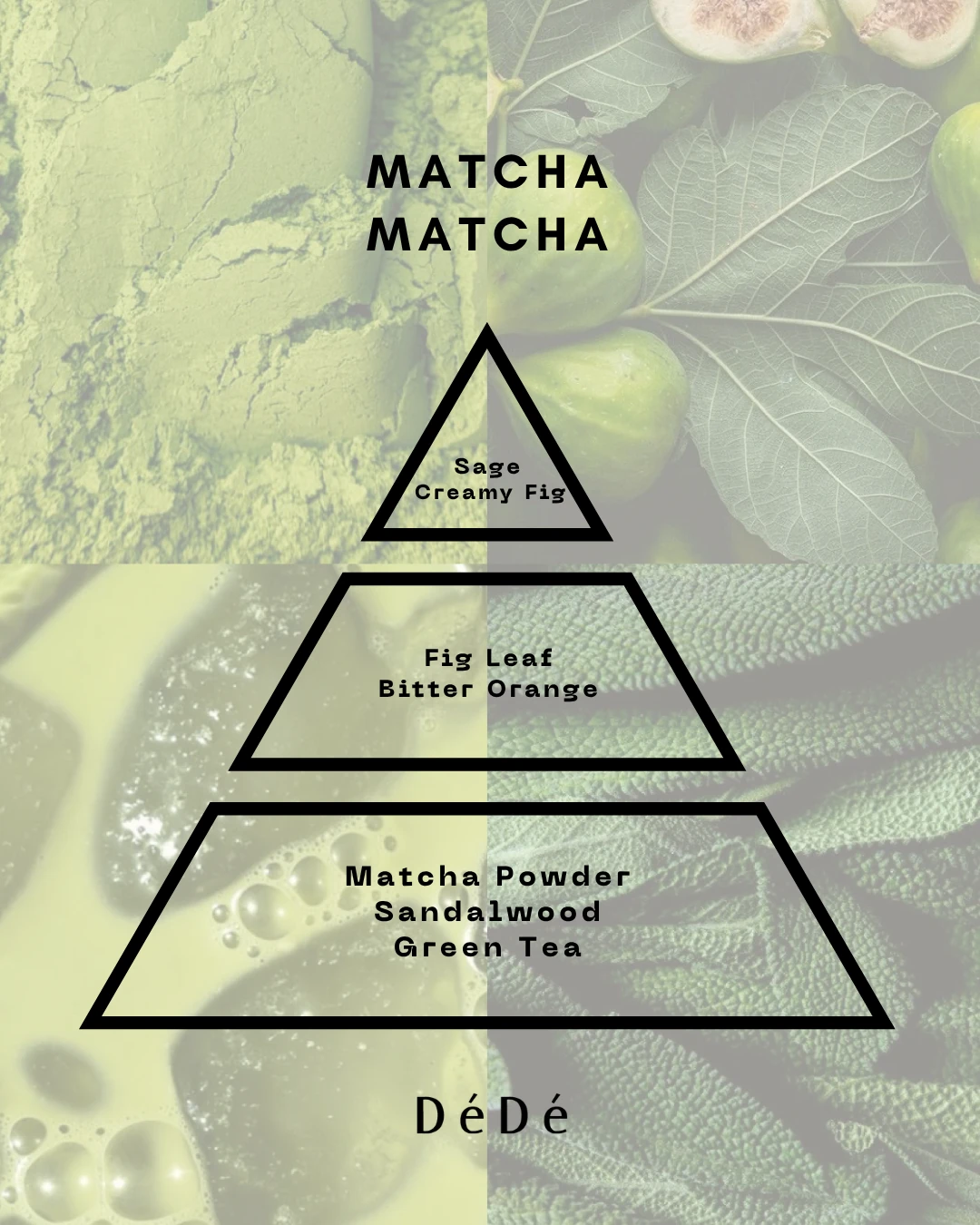 Matcha Matcha | Travel Size 