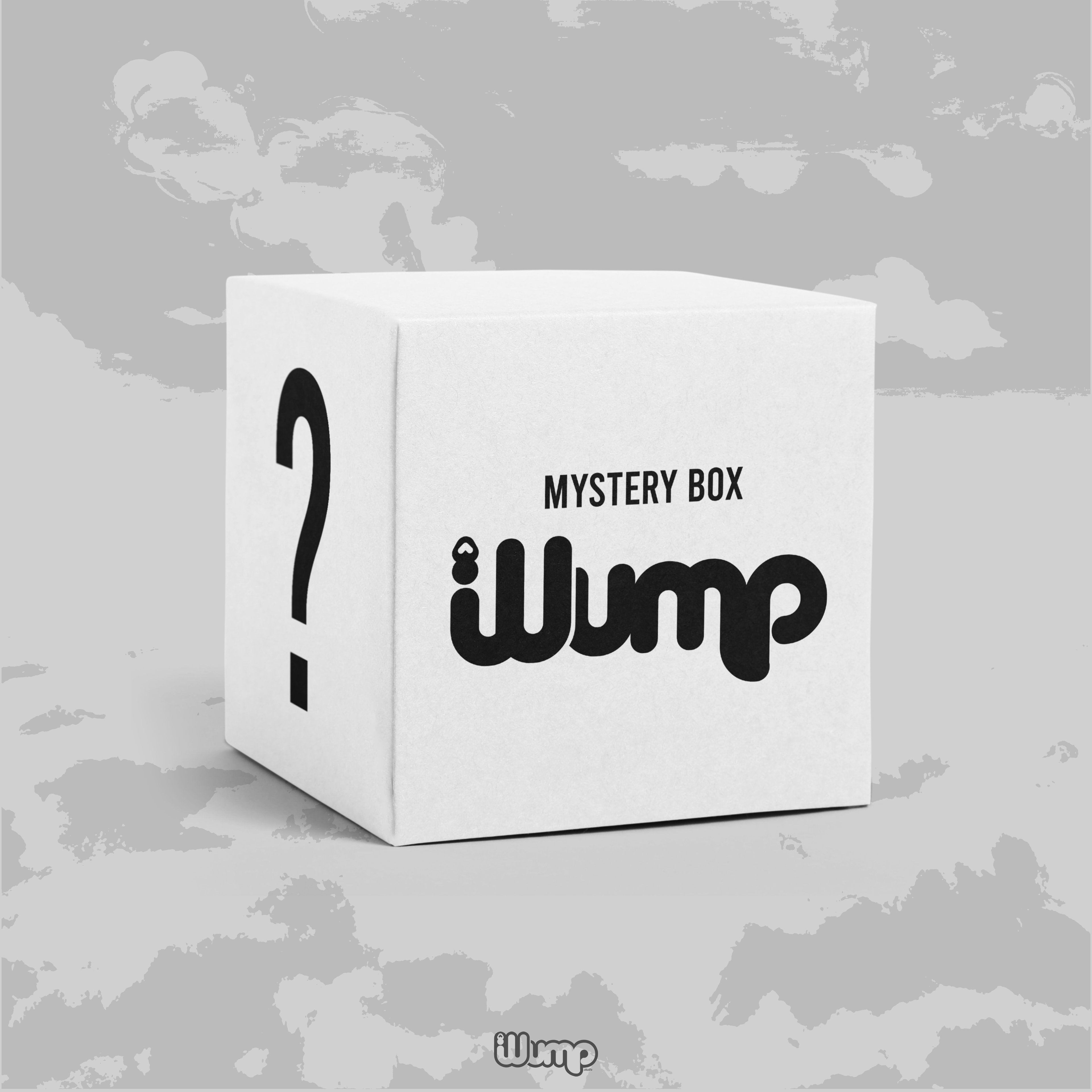 MYSTERY BOX GİZEMLİ KUTU WUMPSTUDIO