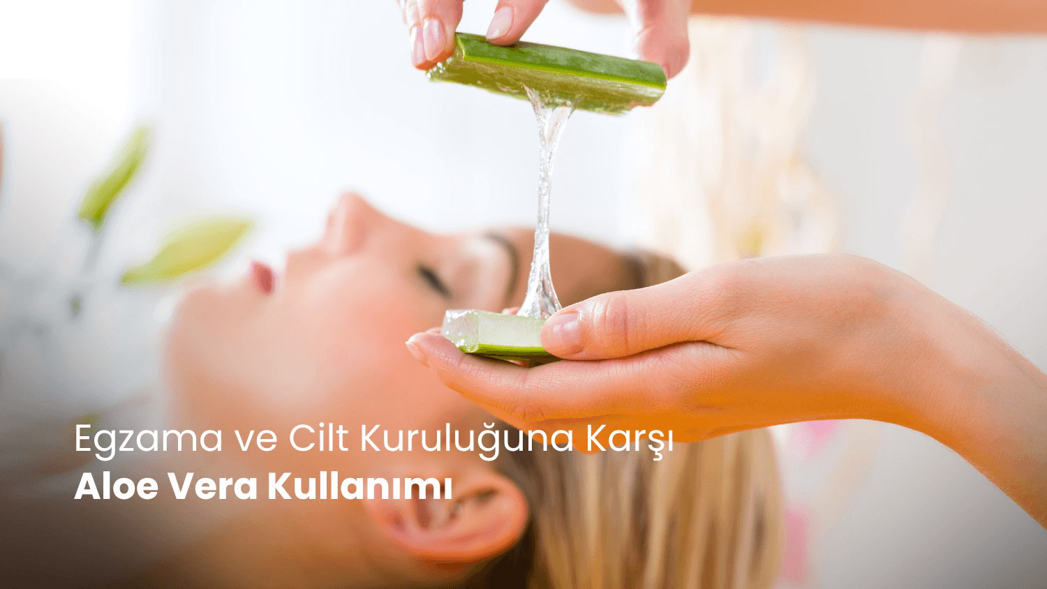Egzama ve Cilt Kuruluğuna Karşı Aloe Vera Kullanımı