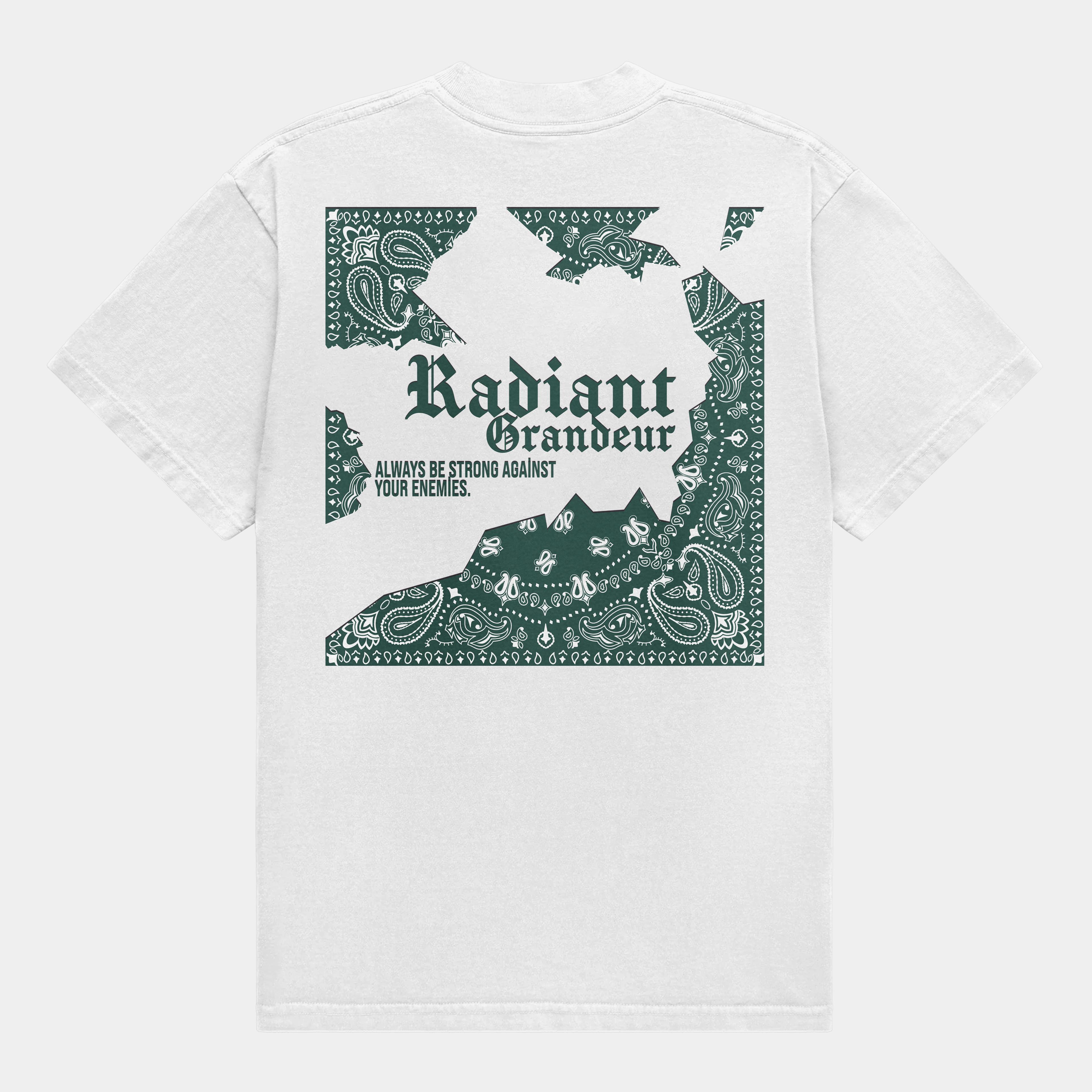 Oversize Tshirt - Radiant Grandeur #9