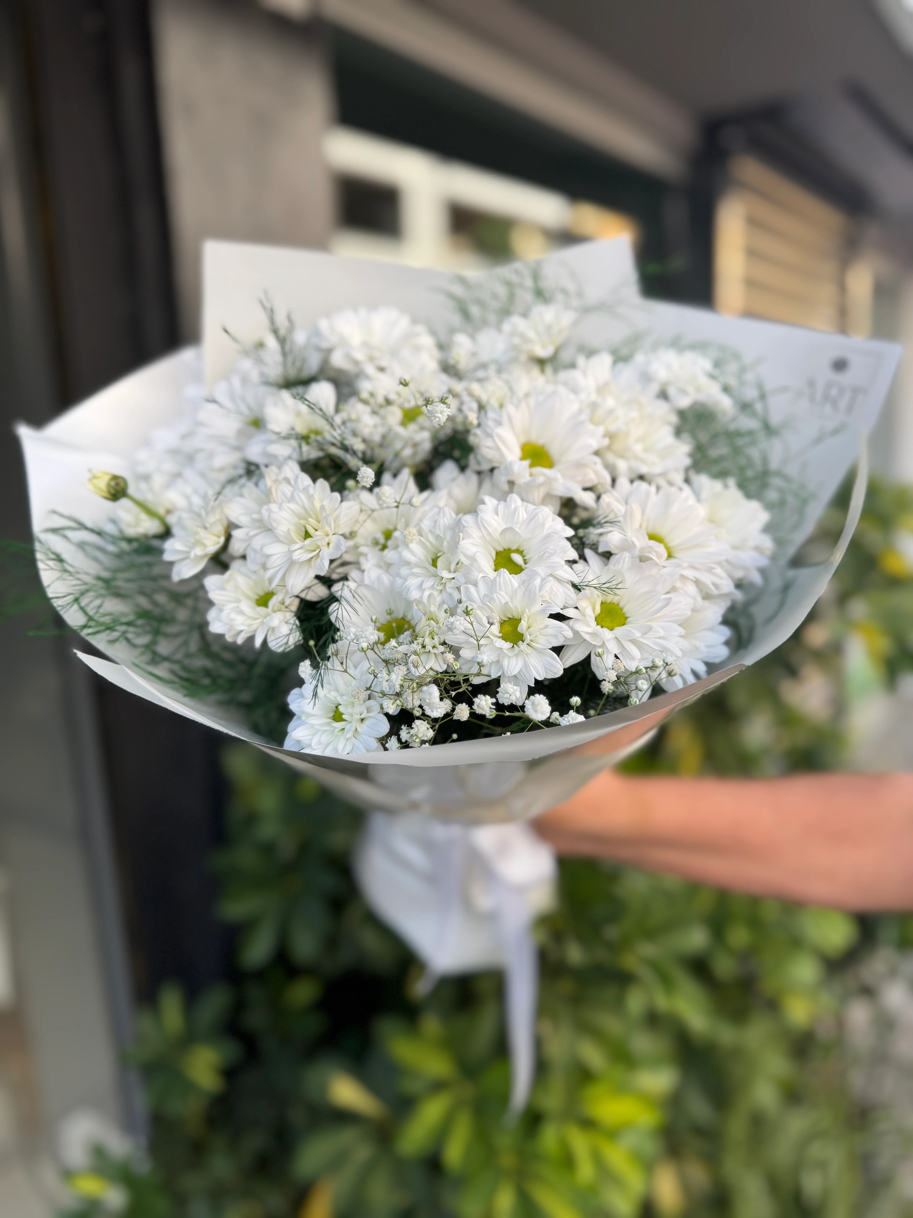 Beyaz Papatya Buketi 