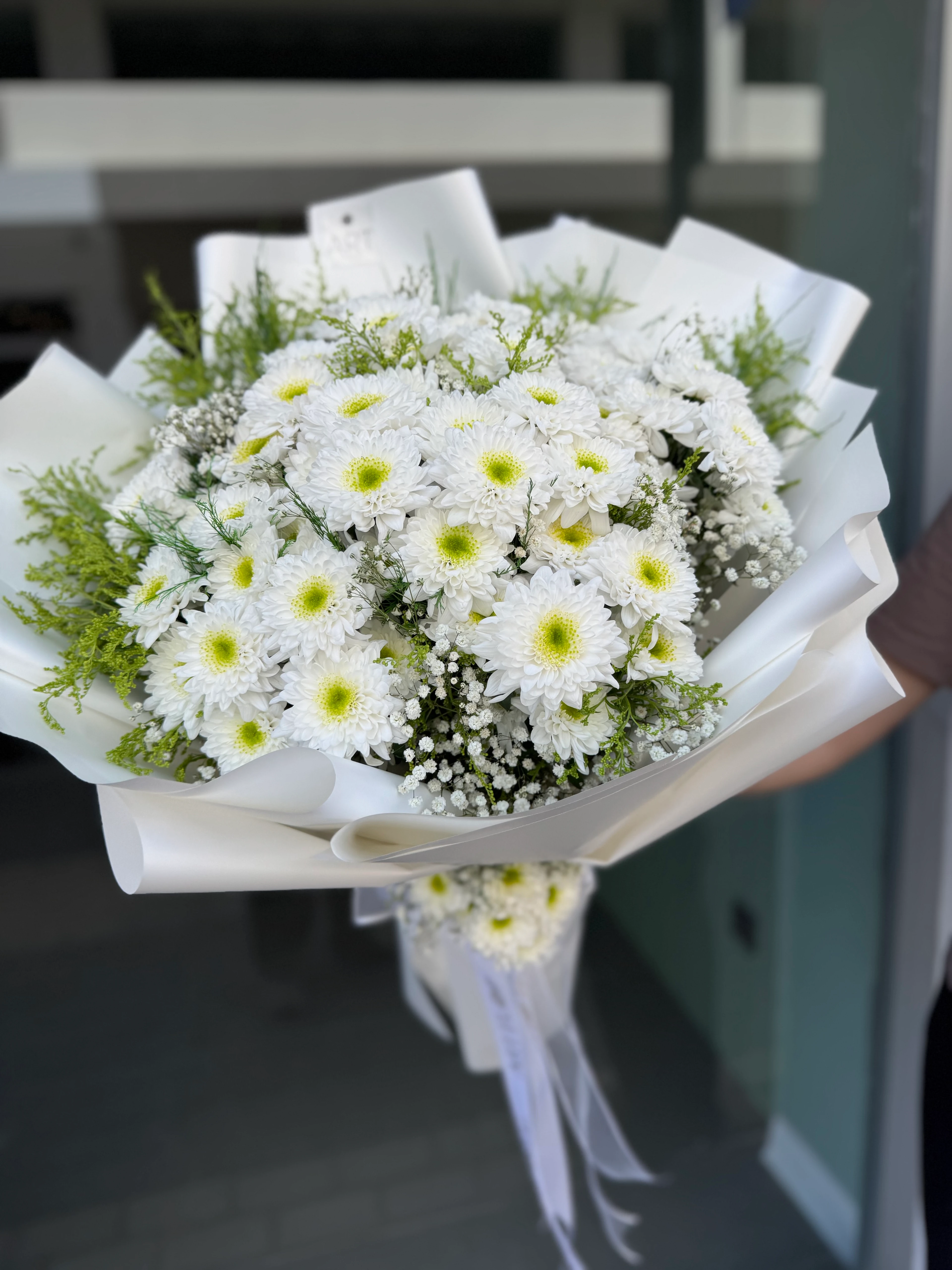 Kucak Dolusu İthal Kasımpatı 