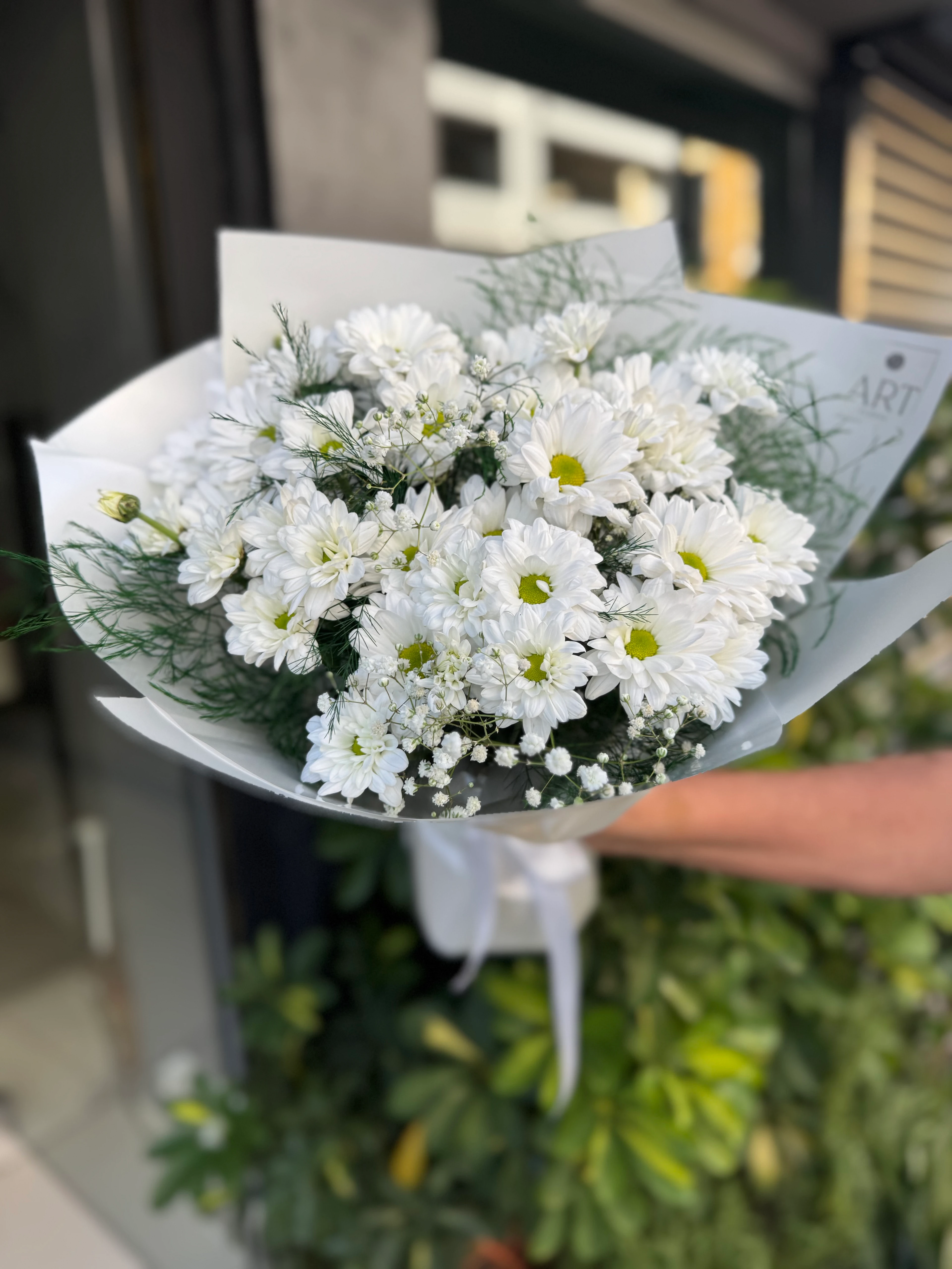 Beyaz Papatya Buketi 