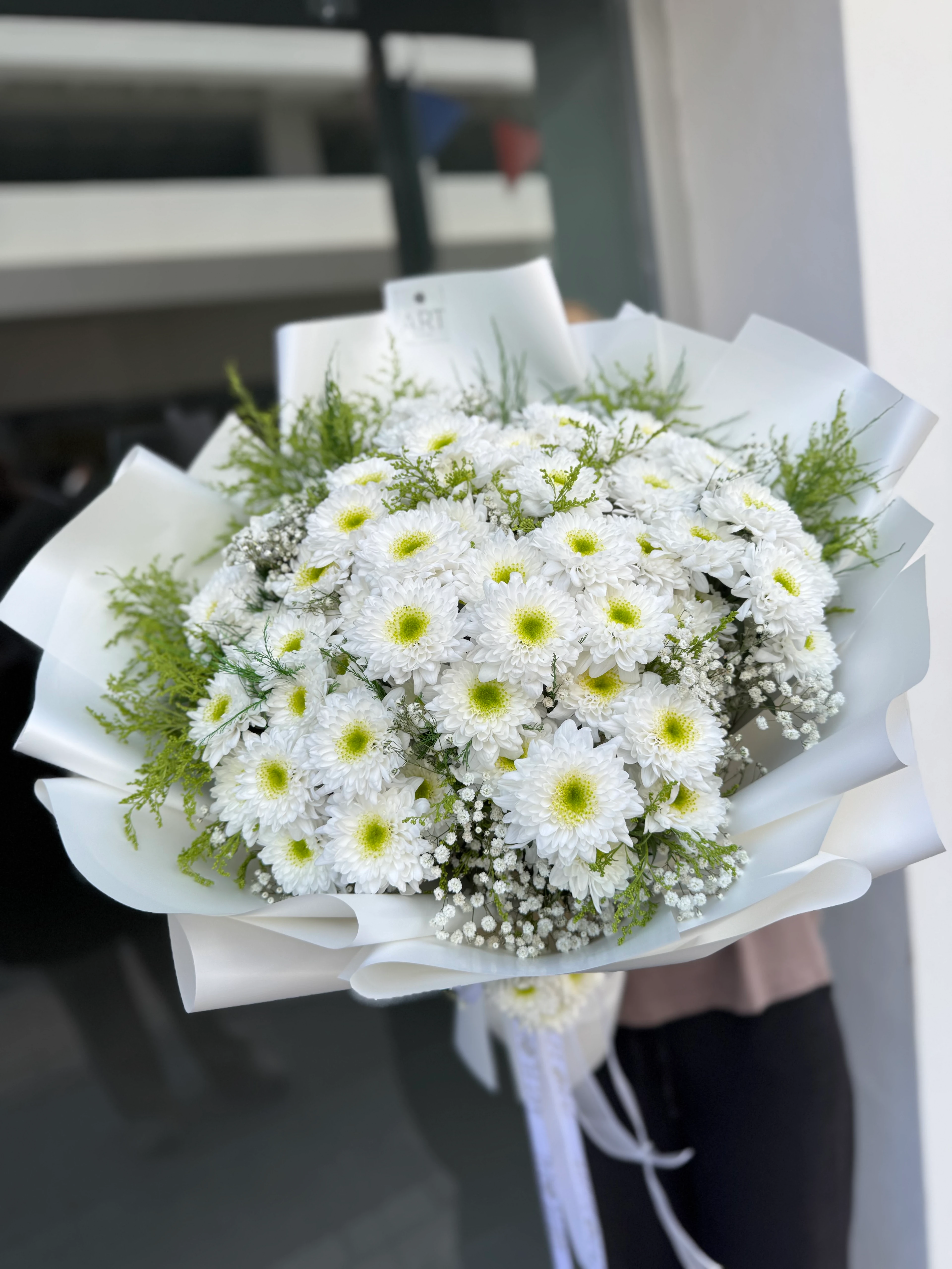 Kucak Dolusu İthal Kasımpatı 