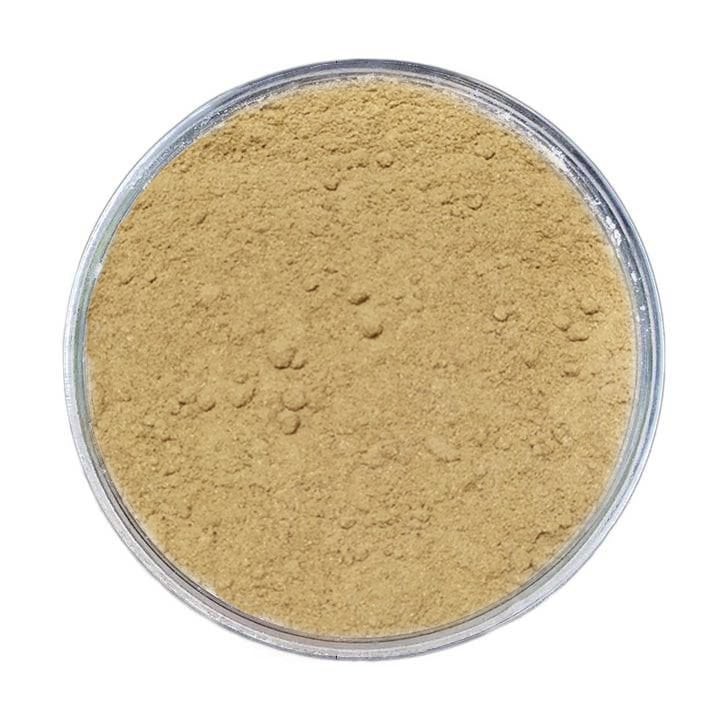 Anason Aroması (Toz)