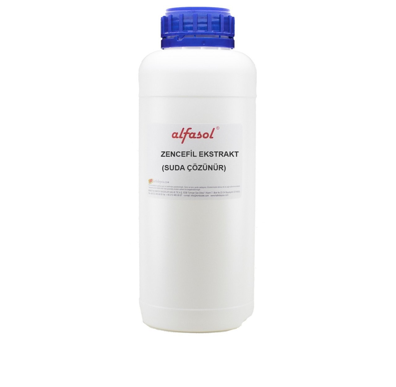 Zencefil Ekstrakt (Suda Çözünür)