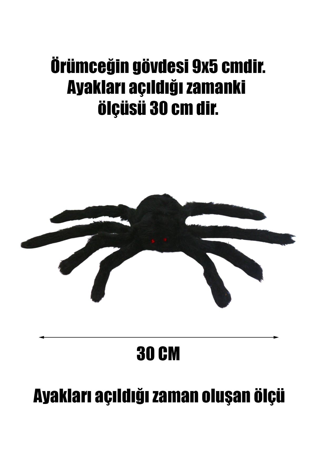 Siyah Örümcek Tarantula Ayakları Açılmış Vaziyette 30 cm