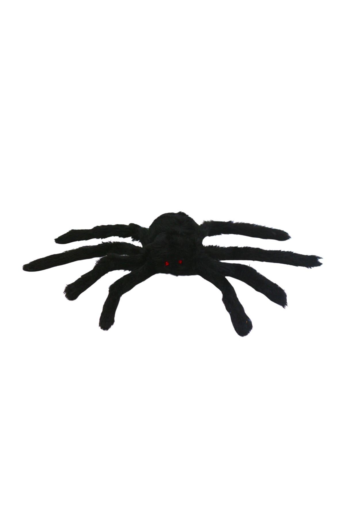 Siyah Örümcek Tarantula Ayakları Açılmış Vaziyette 30 cm