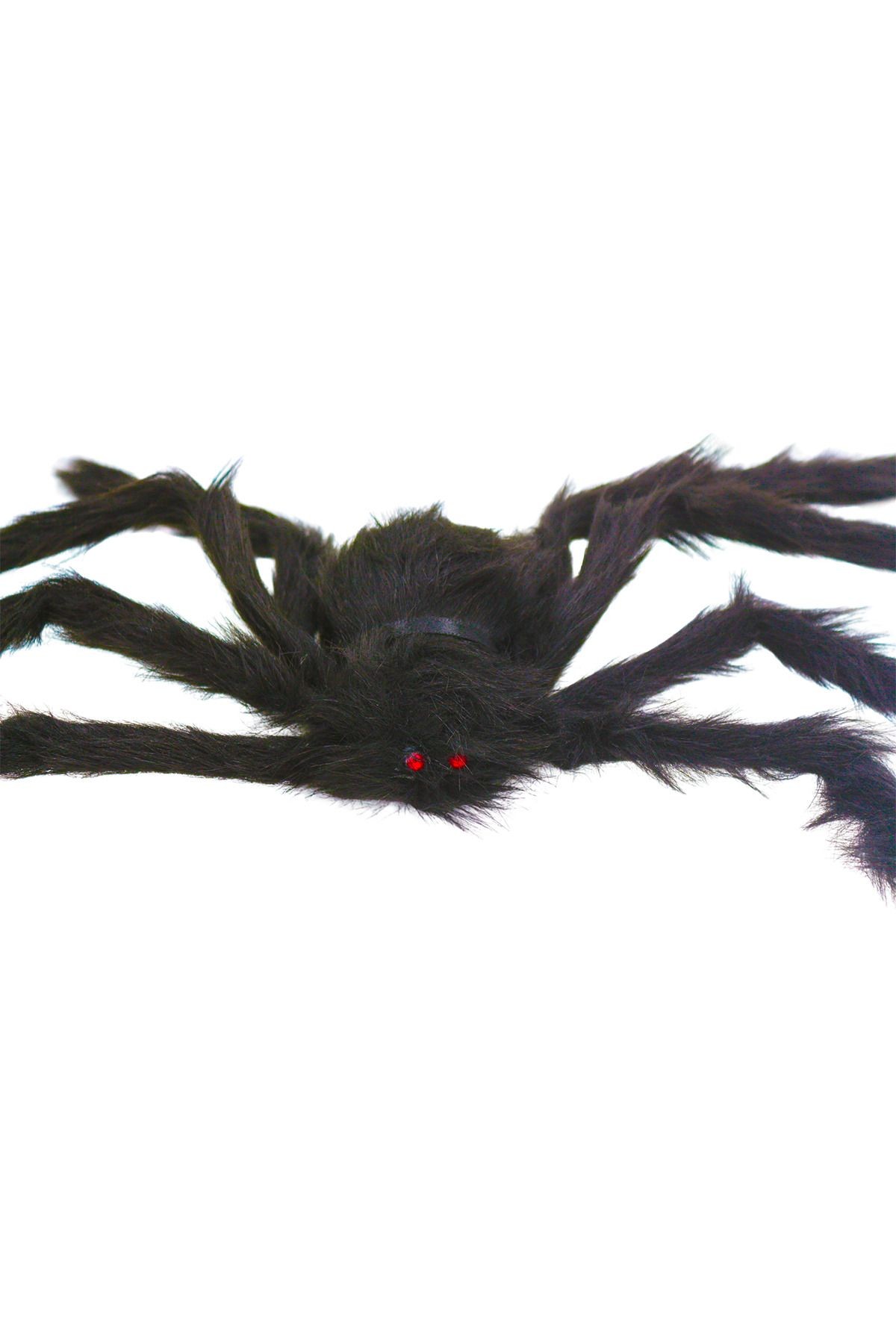 Halloween Siyah Örümcek Tarantula Ayakları Açılmış Vaziyette 90 cm