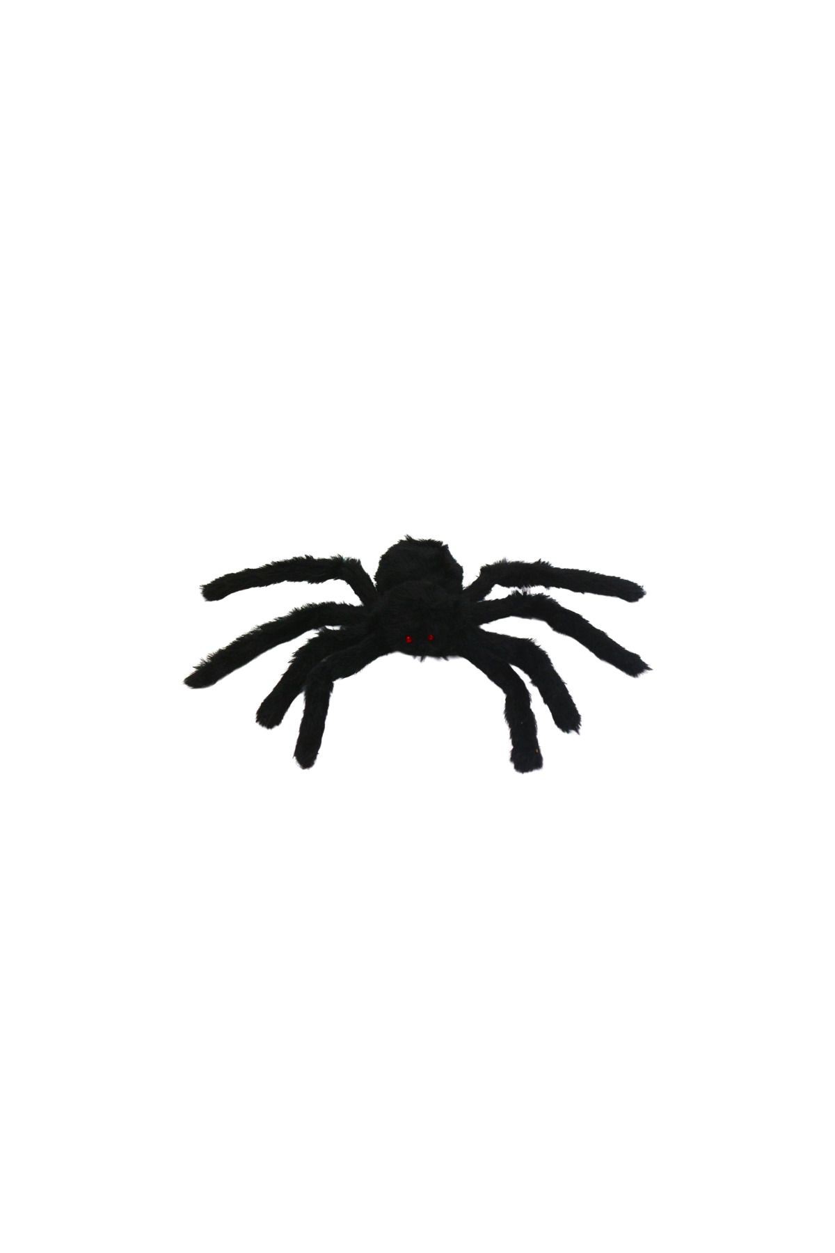 Siyah Örümcek Tarantula Ayakları Açılmış Vaziyette 30 cm