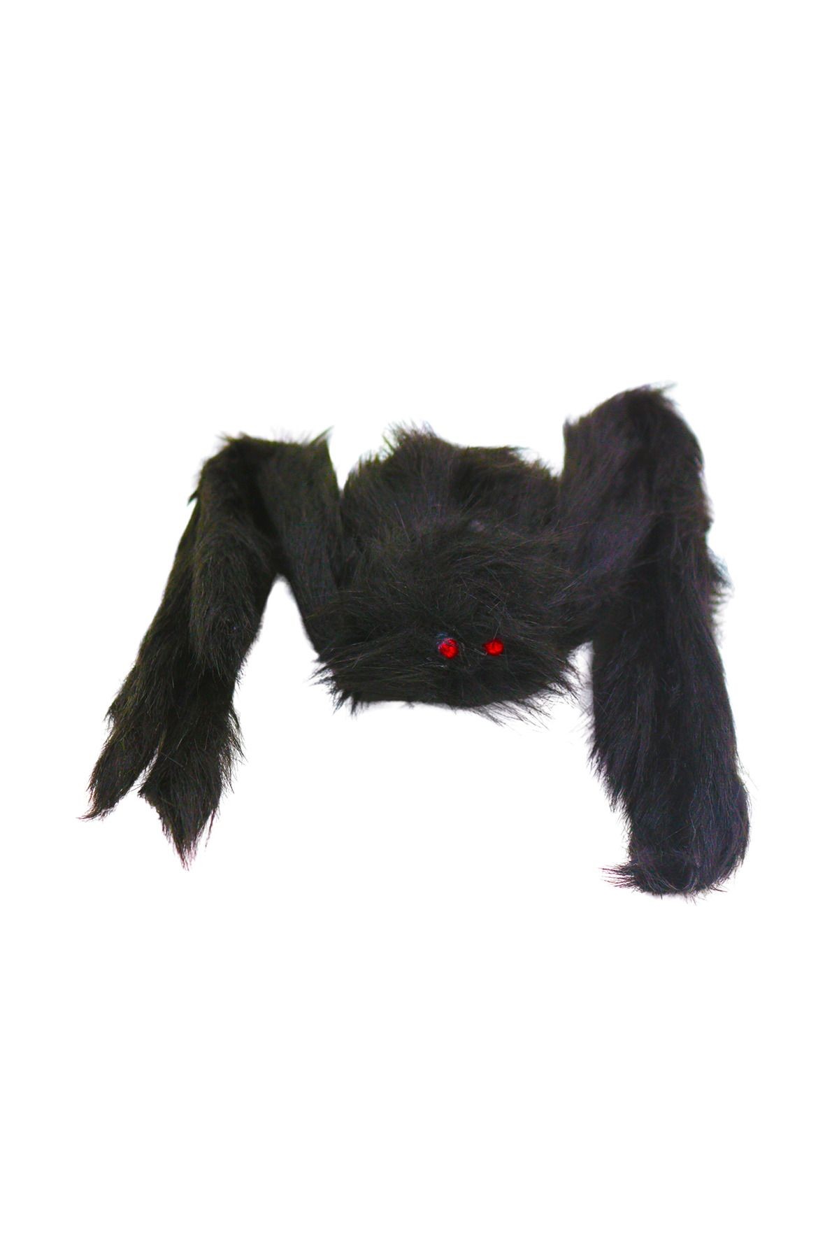 Halloween Siyah Örümcek Tarantula Ayakları Açılmış Vaziyette 60 cm