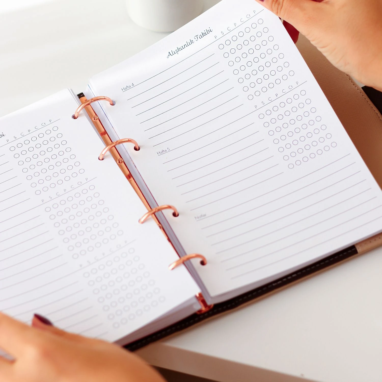 2026 Tarihli Geleceği Planlama Ajandası Cinderella