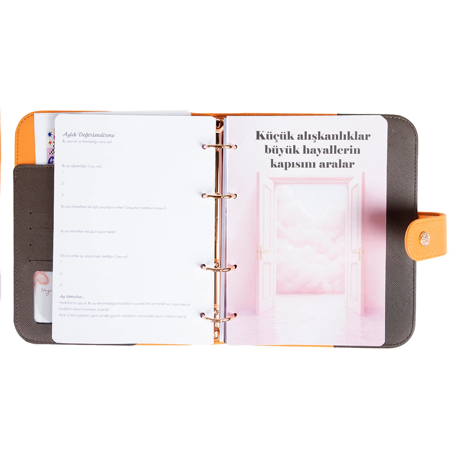 2026 Tarihli Geleceği Planlama Ajandası Rapunzel