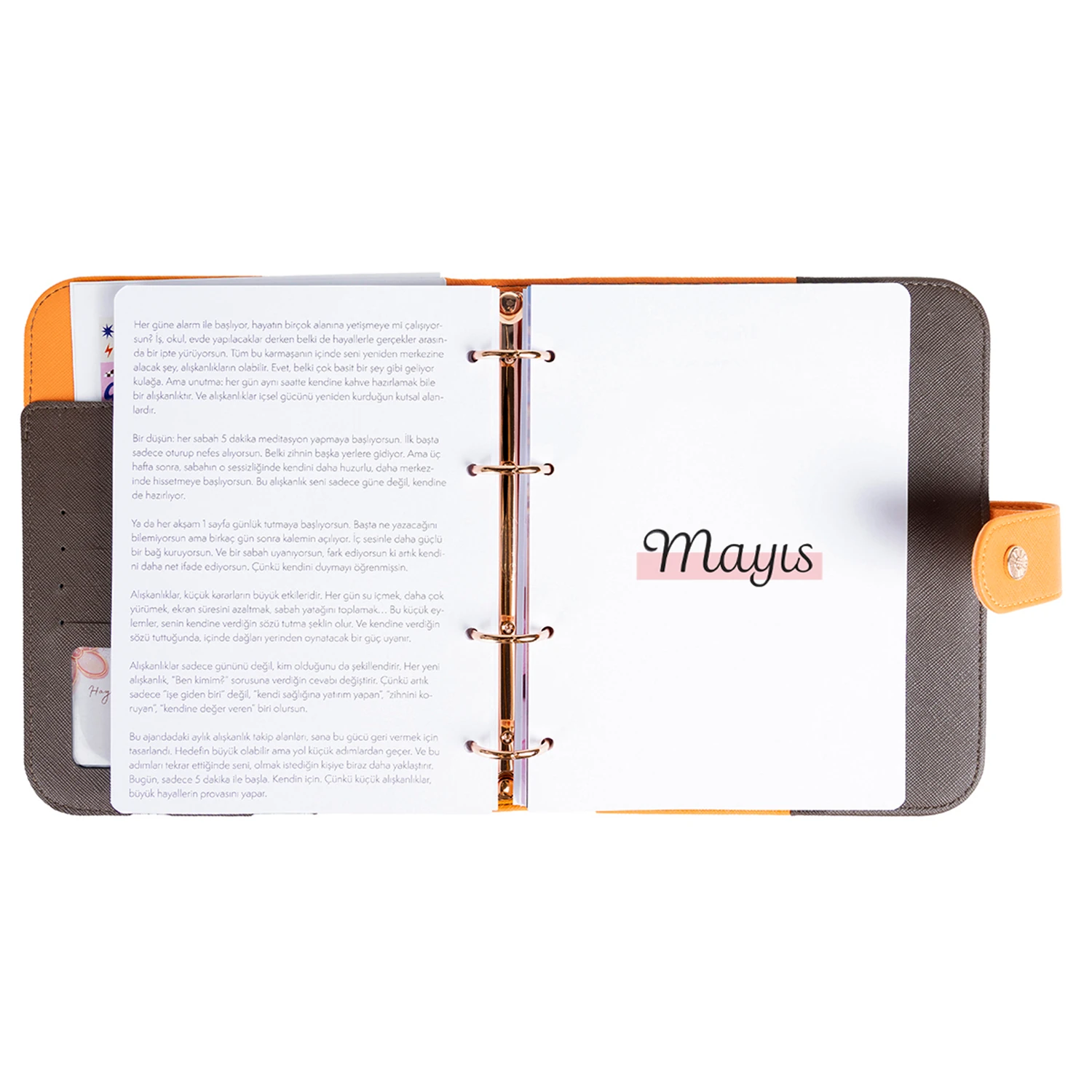 2026 Tarihli Geleceği Planlama Ajandası Rapunzel