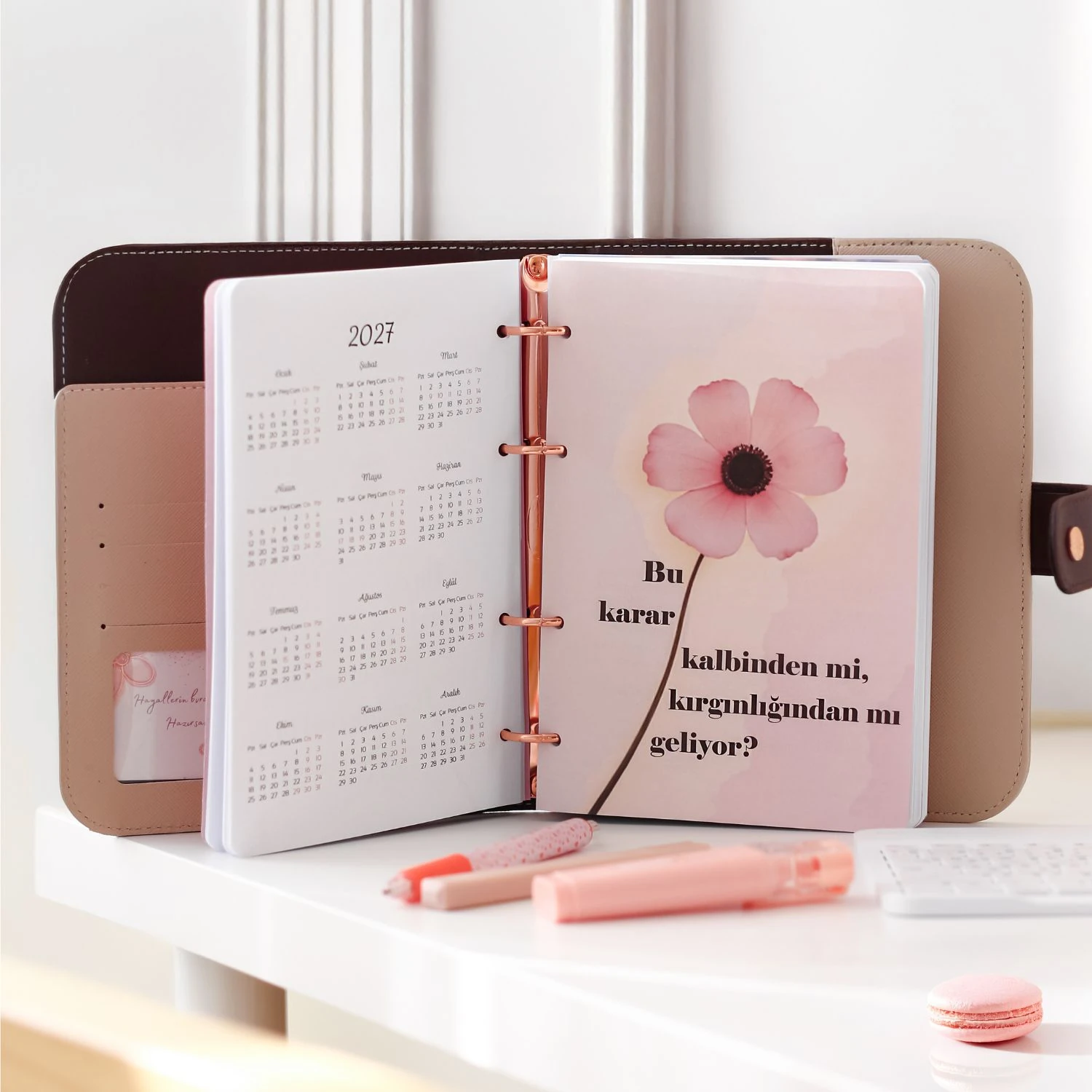 2026 Tarihli Geleceği Planlama Ajandası Cinderella