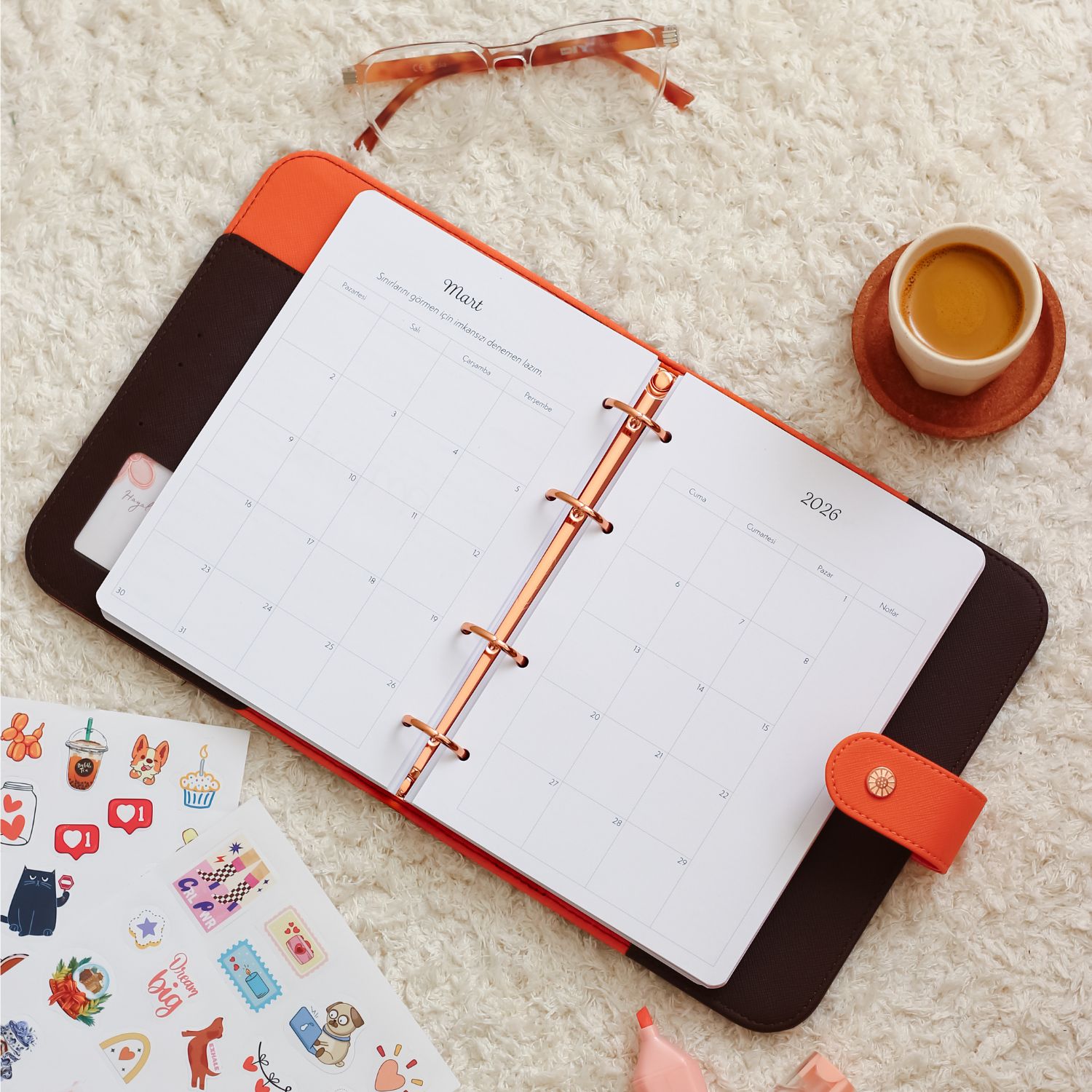 2026 Tarihli Geleceği Planlama Ajandası Rapunzel