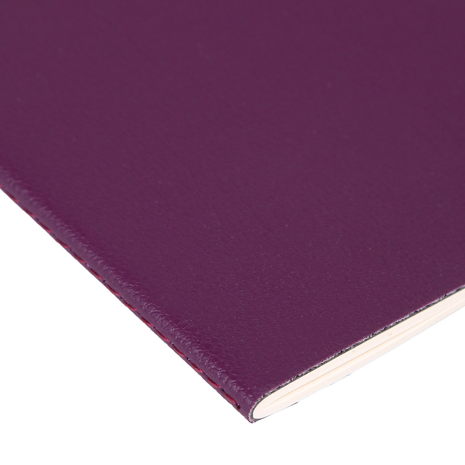 Vegan Deri Çizgili Defter