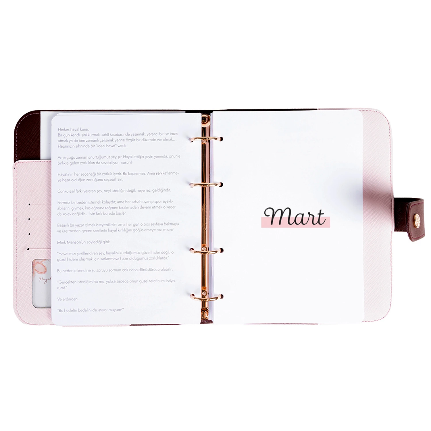 2026 Tarihli Geleceği Planlama Ajandası Aurora