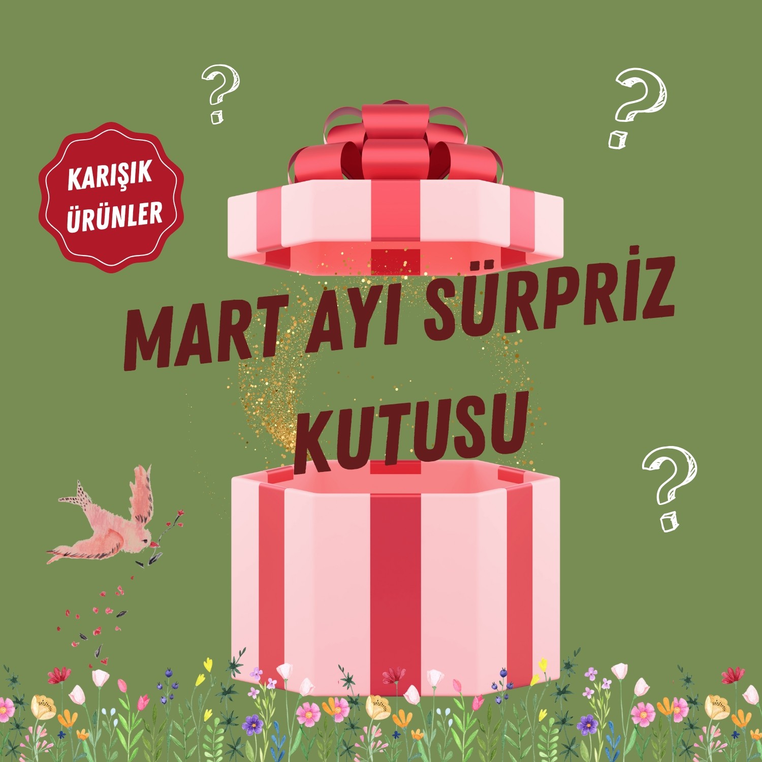 Mart Ayı Sürpriz Kutusu