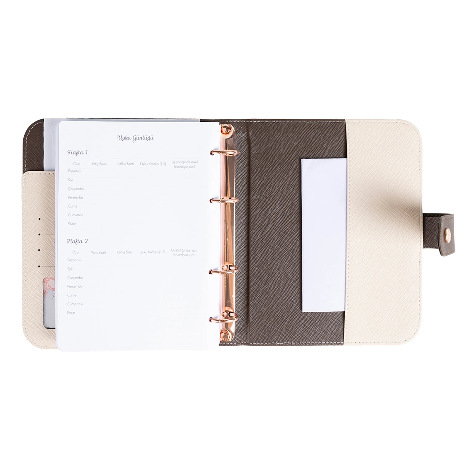 2026 Tarihli Geleceği Planlama Ajandası Cinderella