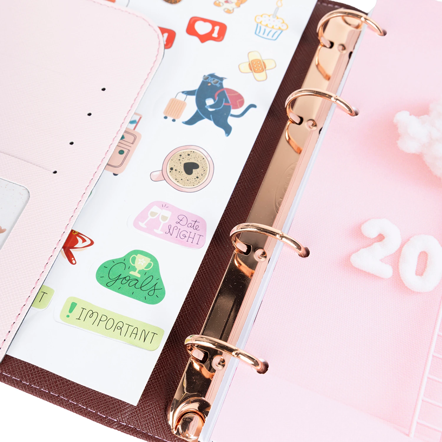 2026 Tarihli Geleceği Planlama Ajandası Aurora