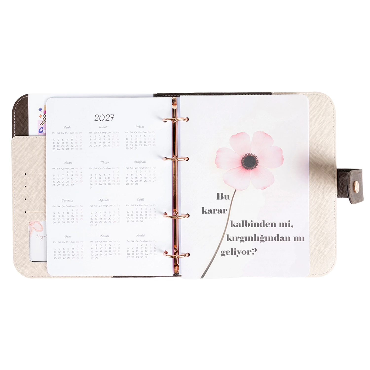 2026 Tarihli Geleceği Planlama Ajandası Cinderella