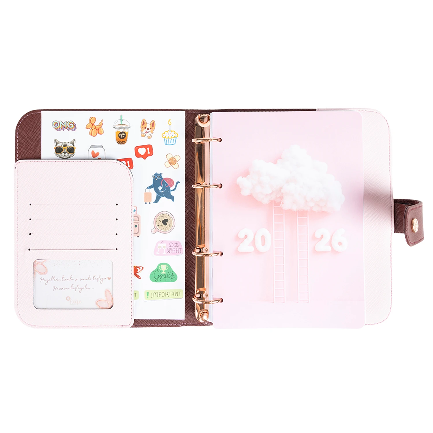 2026 Tarihli Geleceği Planlama Ajandası Aurora