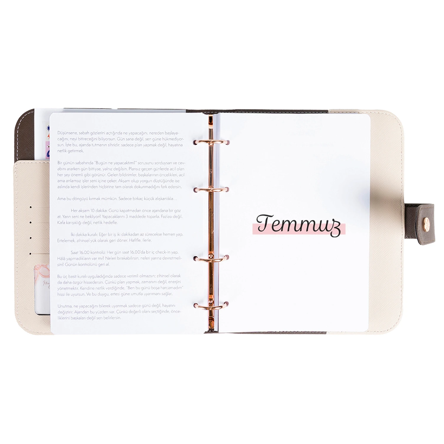 2026 Tarihli Geleceği Planlama Ajandası Cinderella