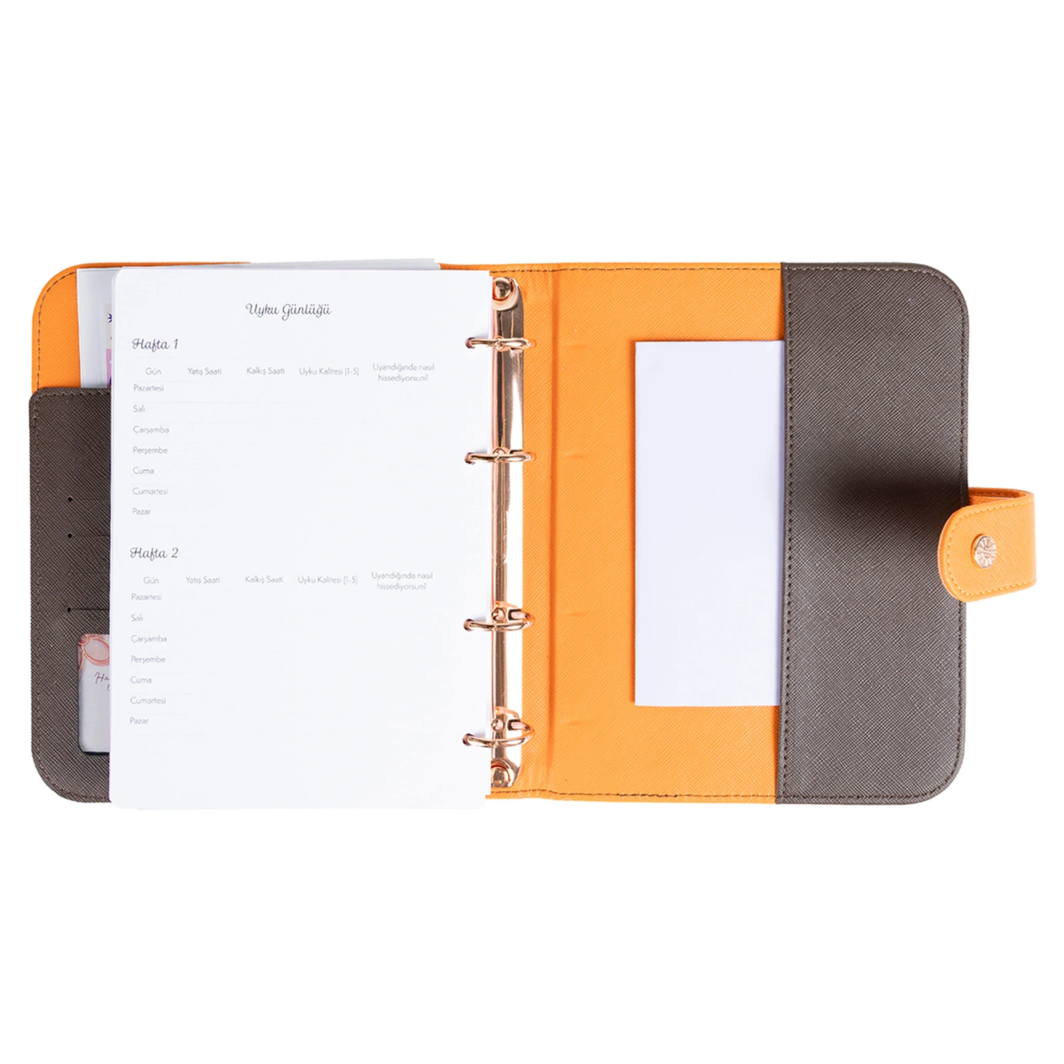 2026 Tarihli Geleceği Planlama Ajandası Rapunzel