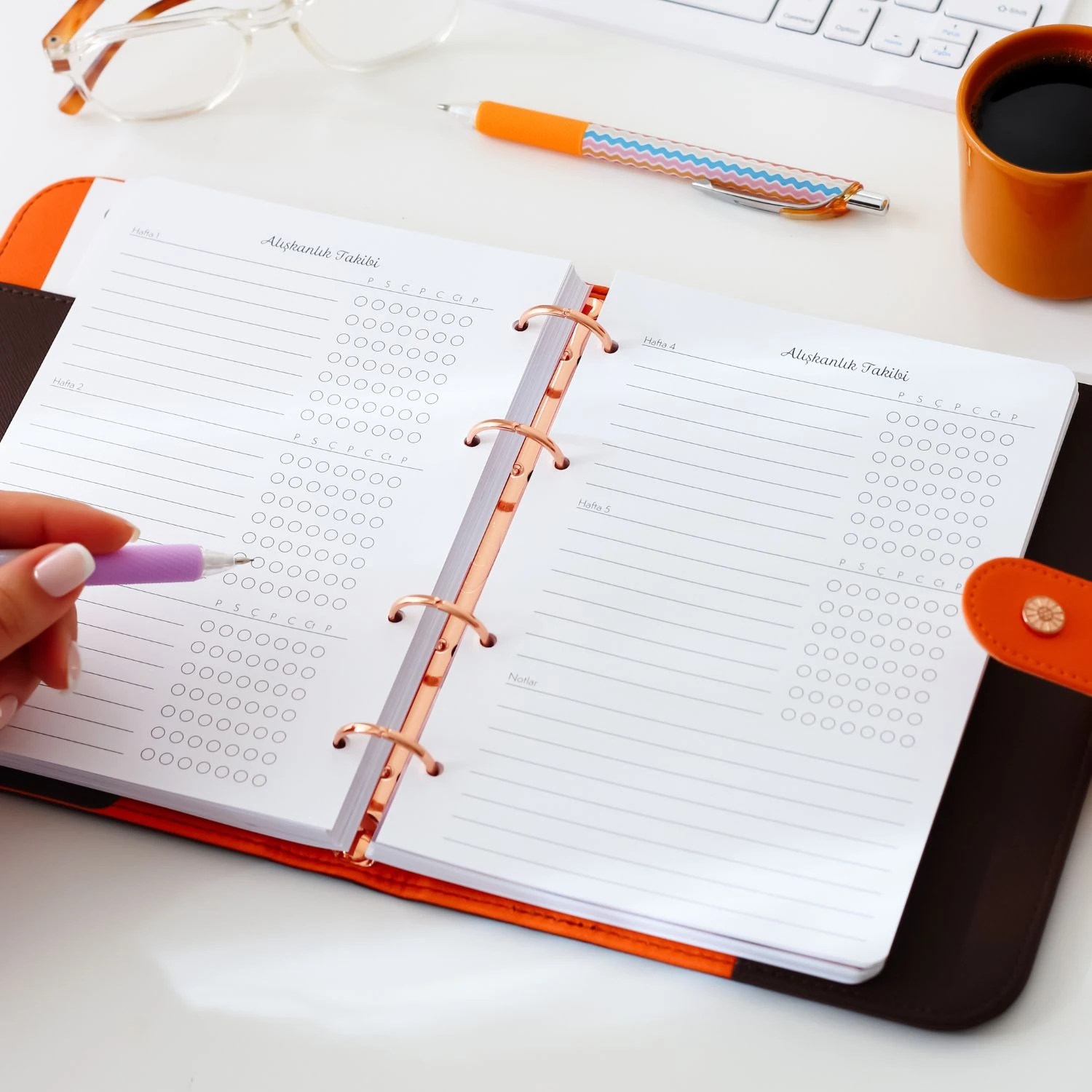 2026 Tarihli Geleceği Planlama Ajandası Rapunzel