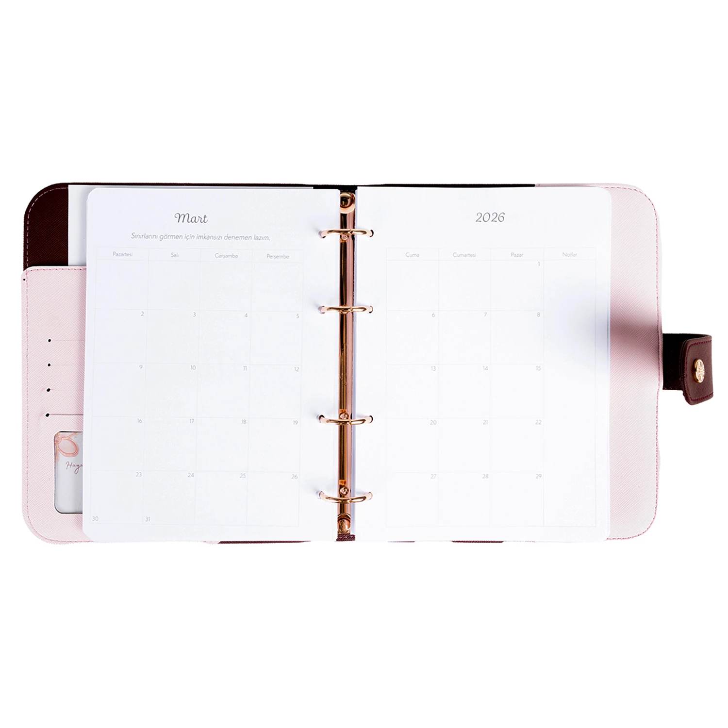 2026 Tarihli Geleceği Planlama Ajandası Aurora