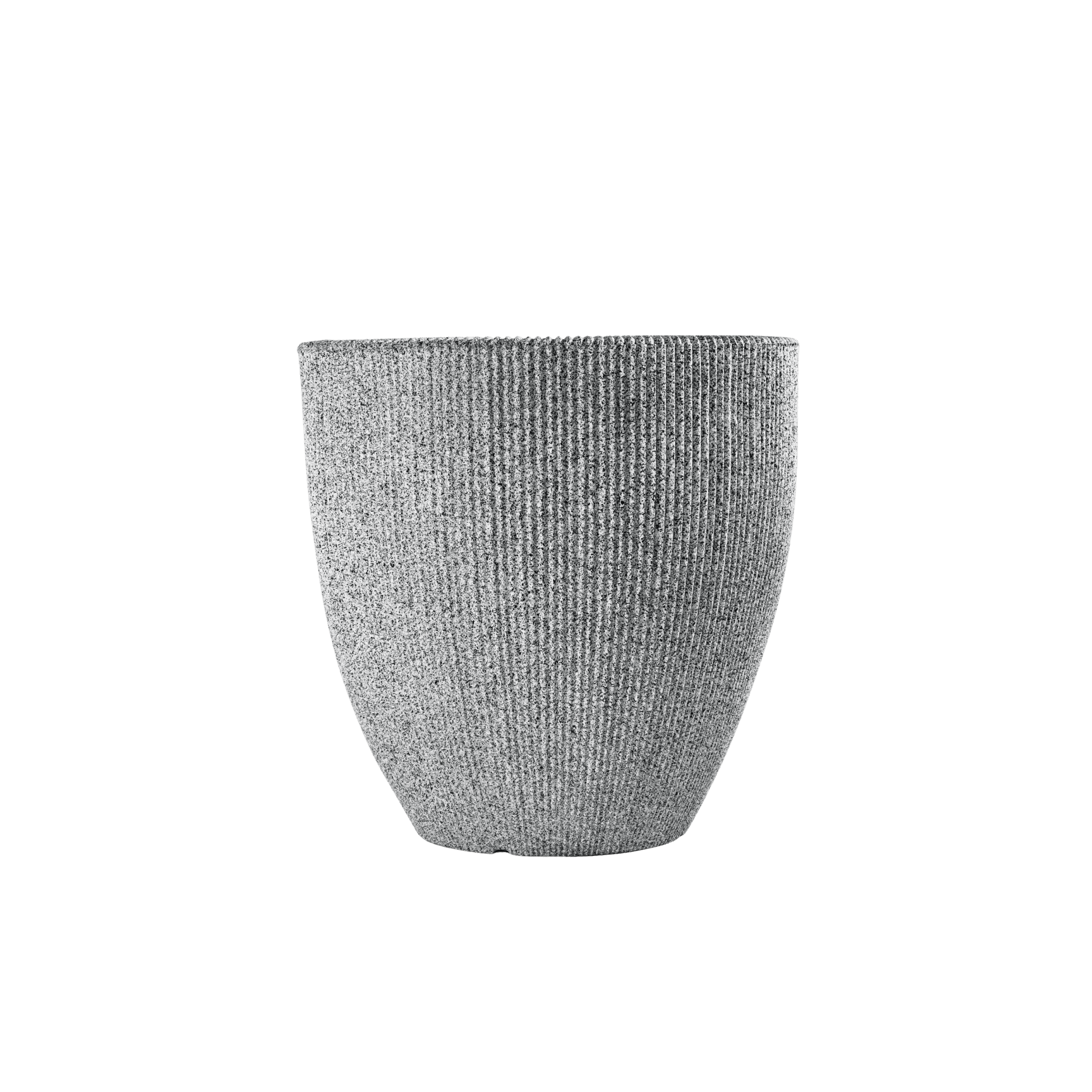 BVS030 image