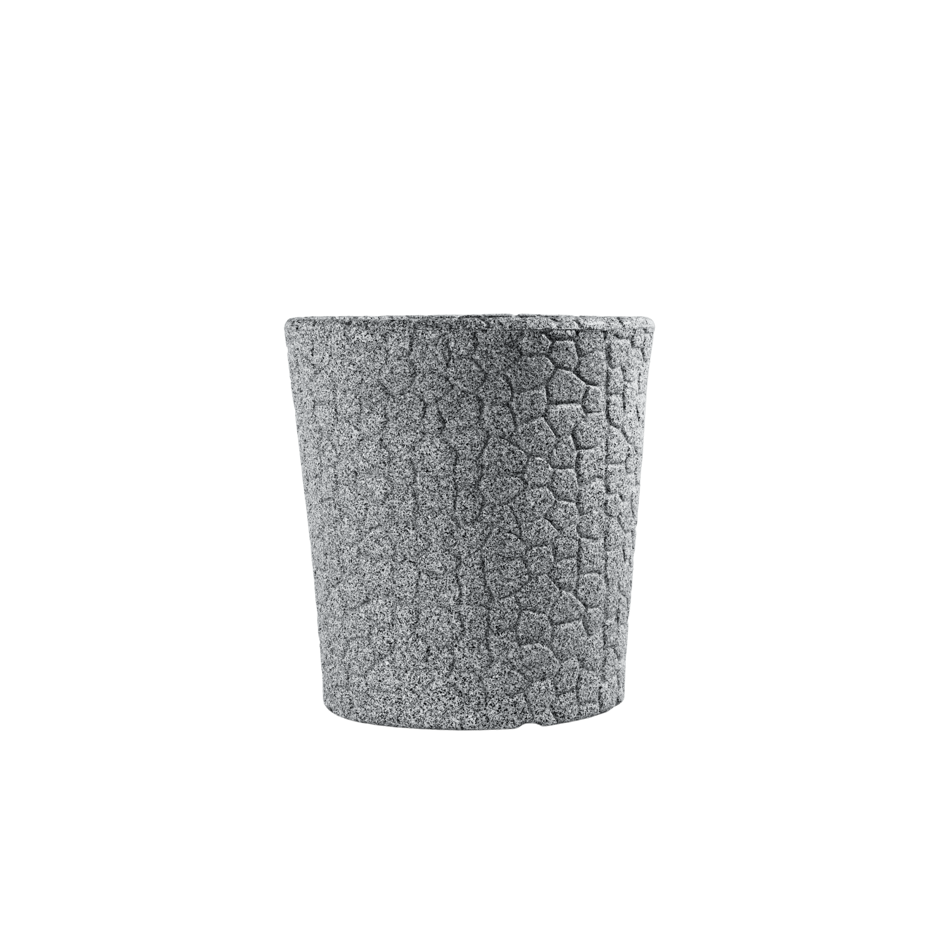BSS100 image