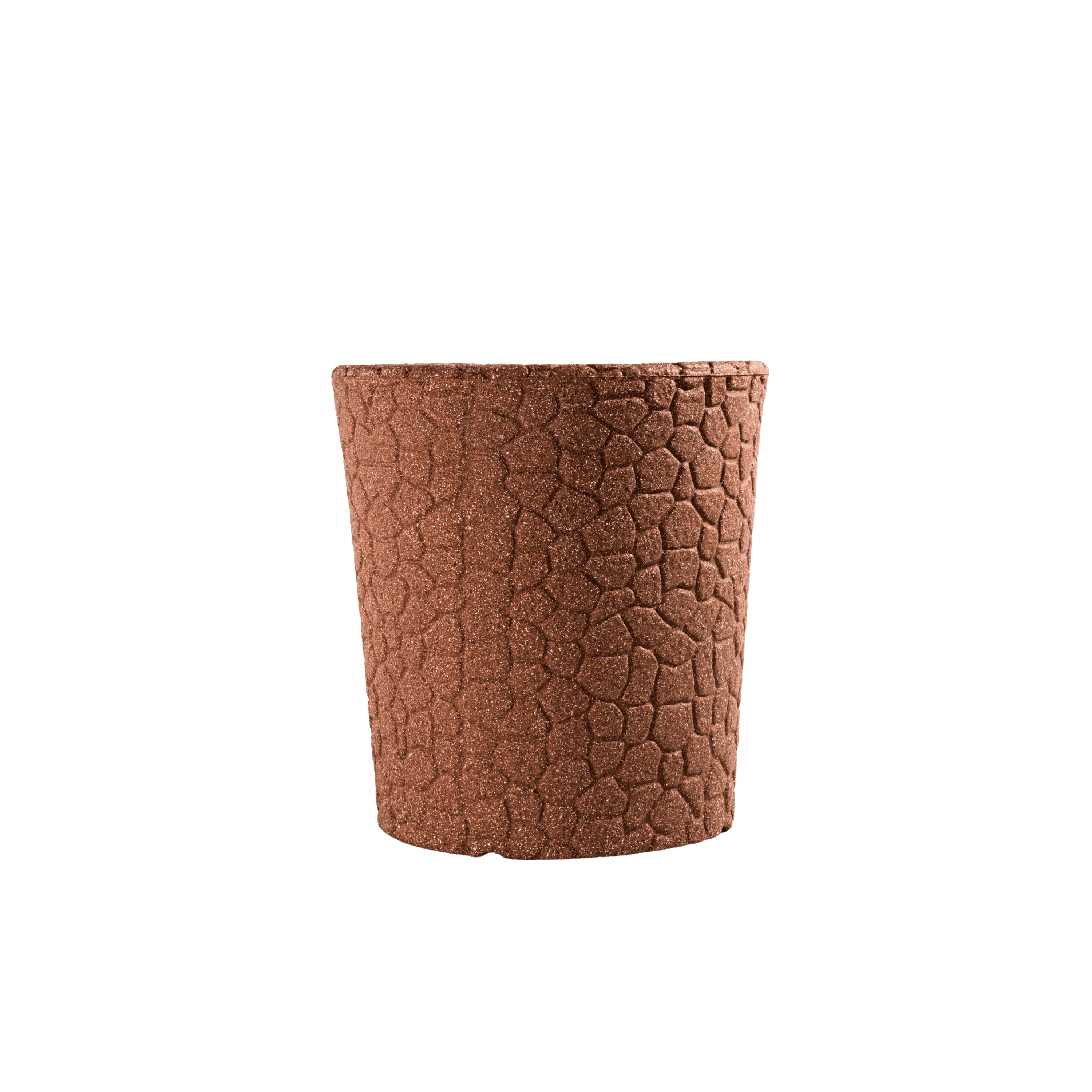 BSM110 image