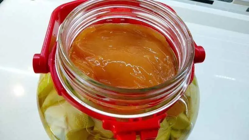 sirke anası