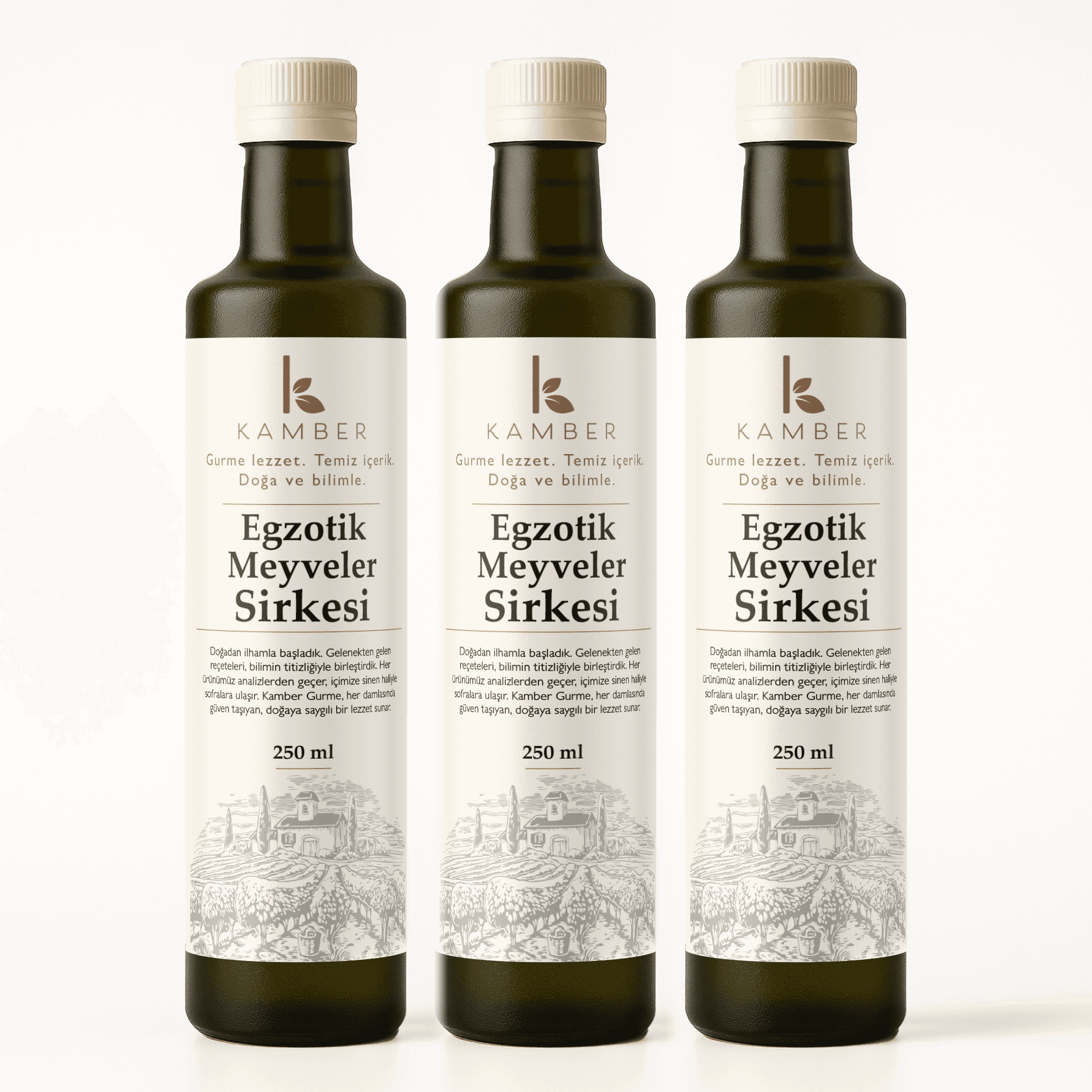 3'lü Egzotik Meyveler Sirkesi (3x250 ML) - Yeni Seri
